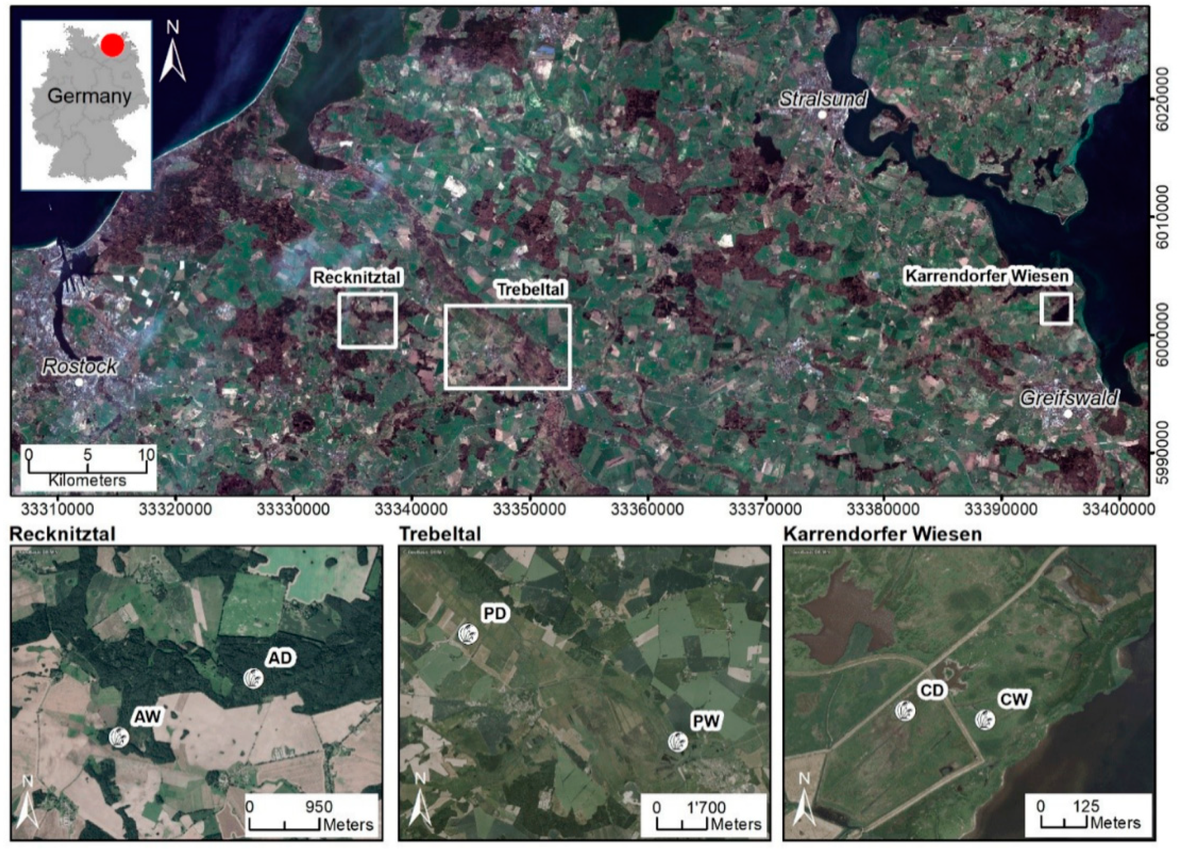 Microorganisms 08 00550 g001 Microorganisms 08 00550 g001