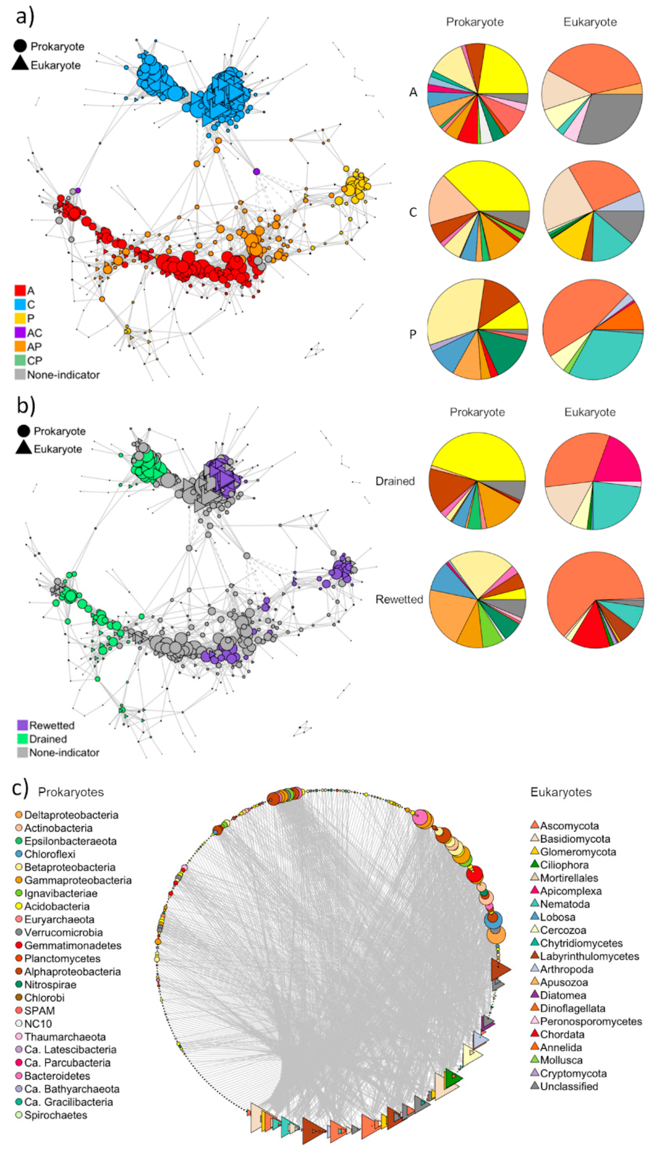Microorganisms 08 00550 g005 Microorganisms 08 00550 g005