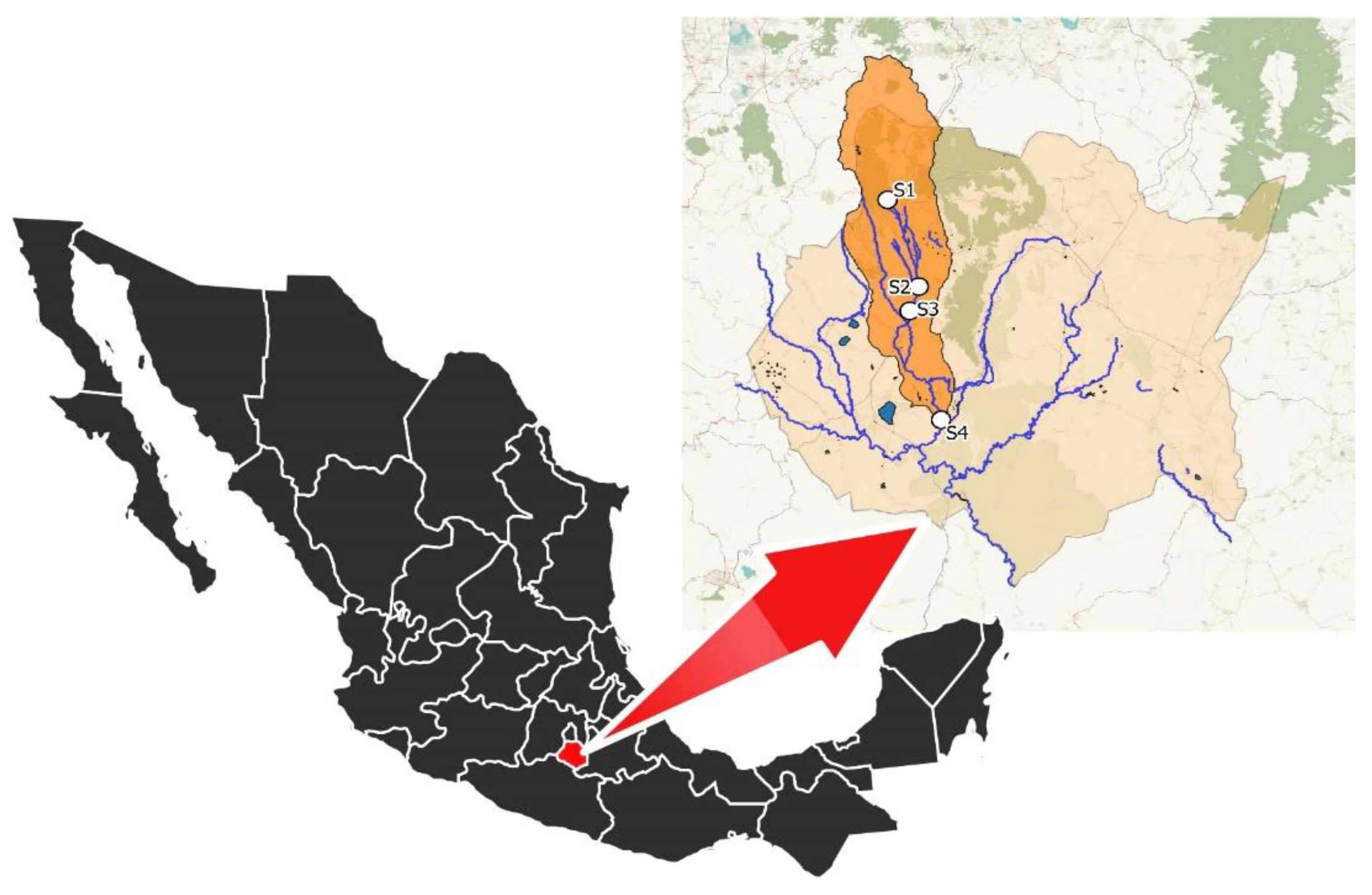 Microorganisms 08 00554 g001