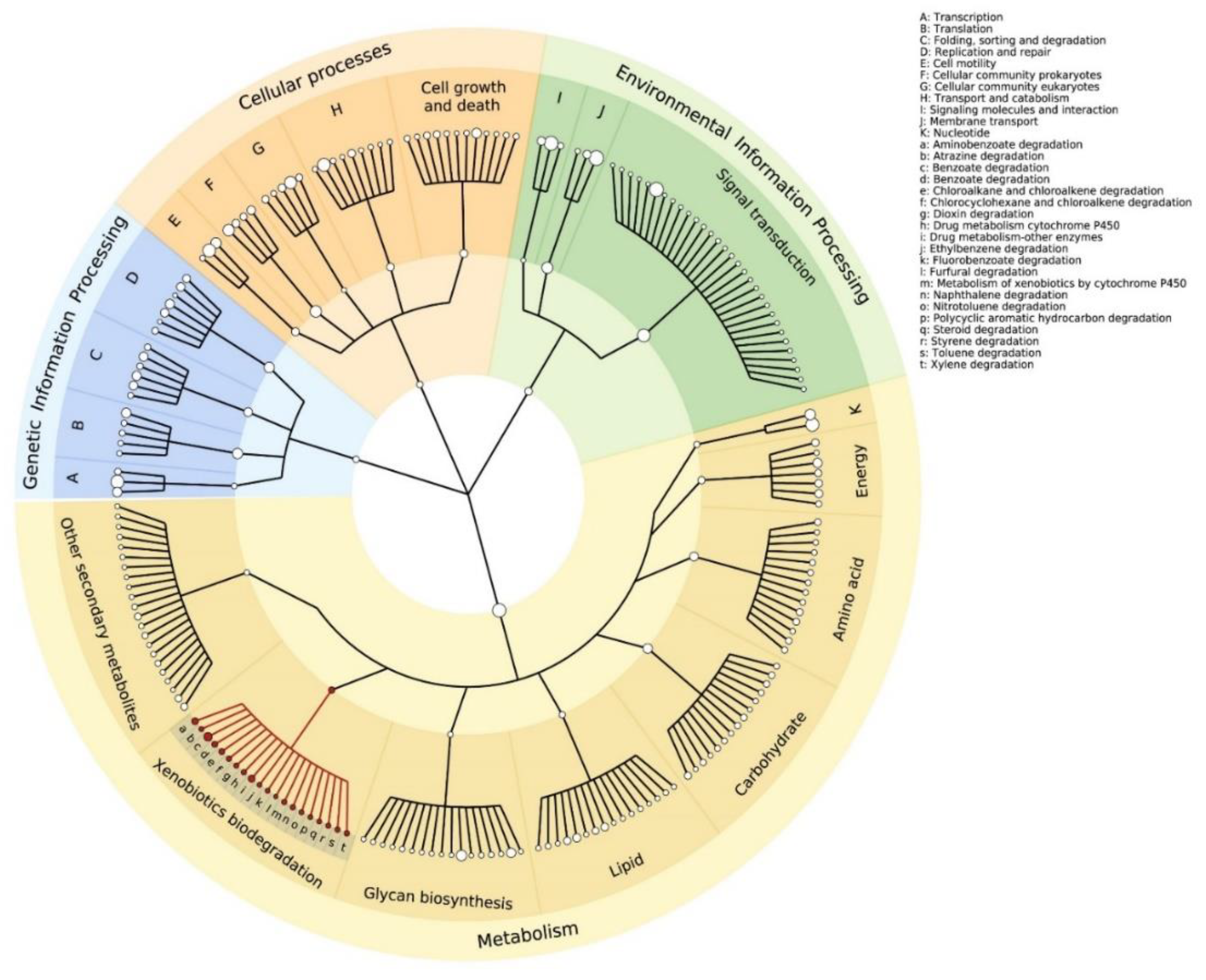 Microorganisms 08 00554 g003