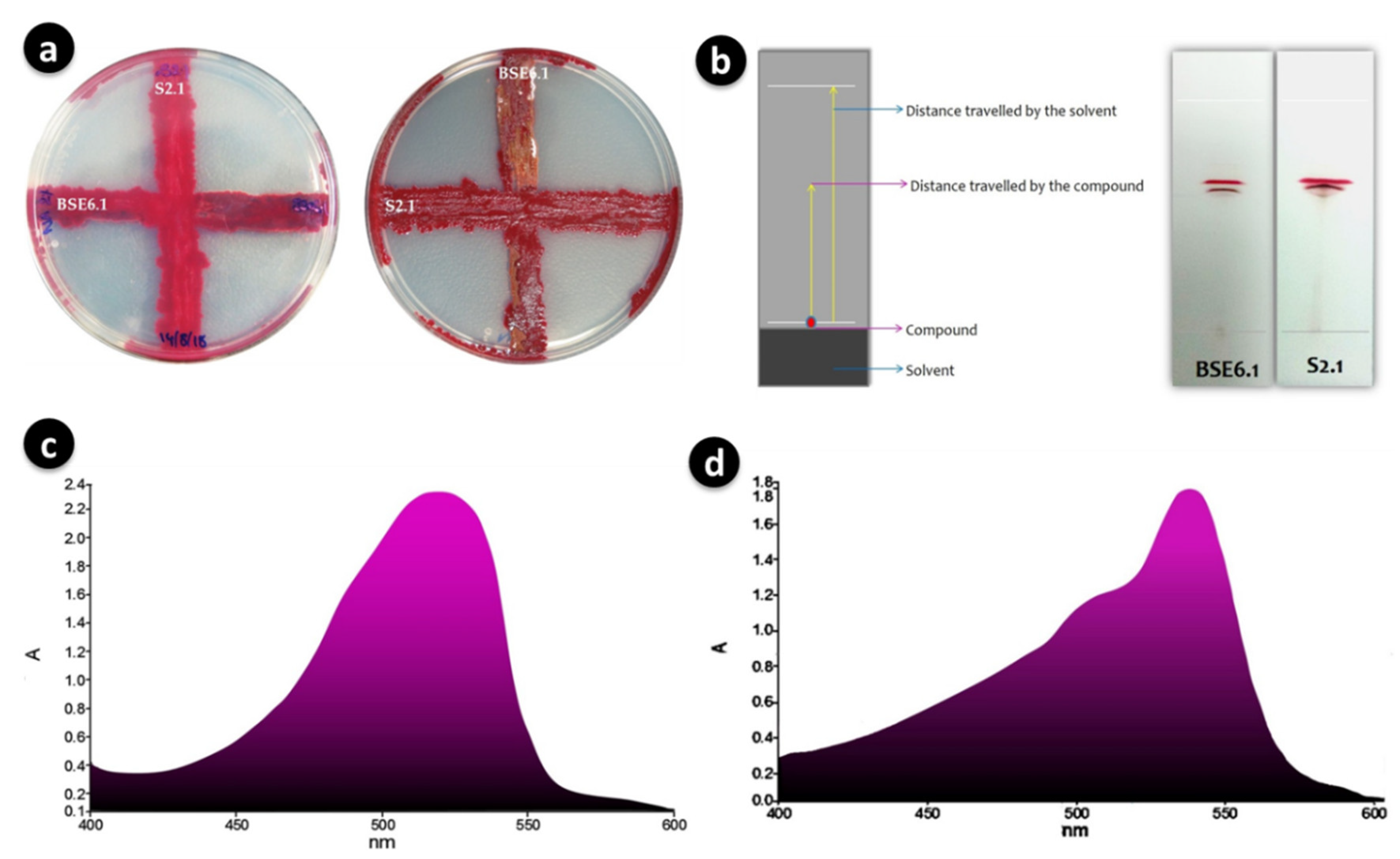 Microorganisms 08 00556 g004