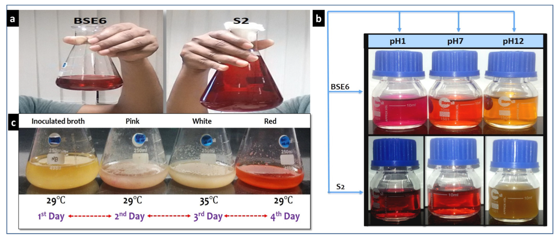 Microorganisms 08 00556 g007