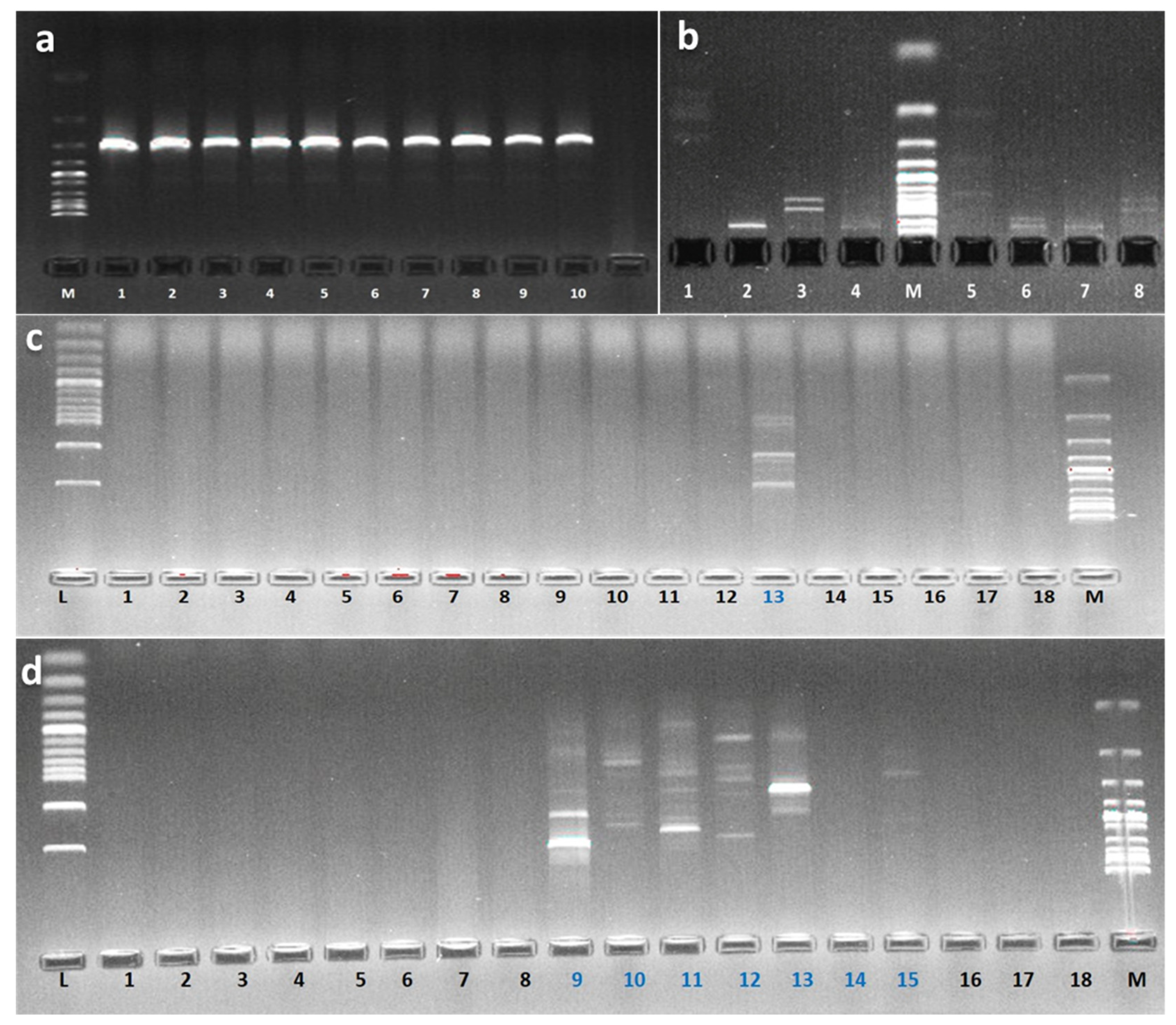 Microorganisms 08 00556 g010
