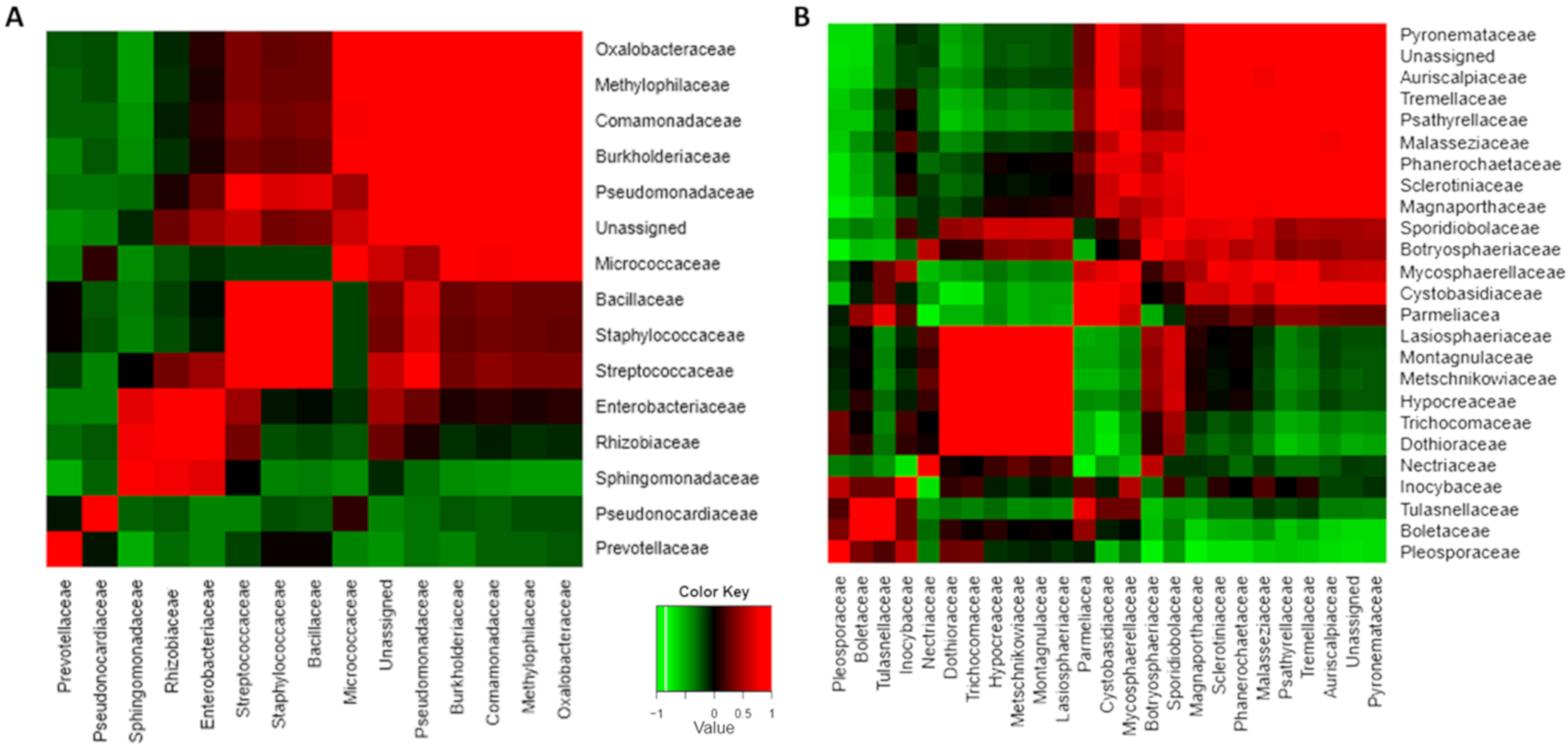 Microorganisms 08 00558 g004