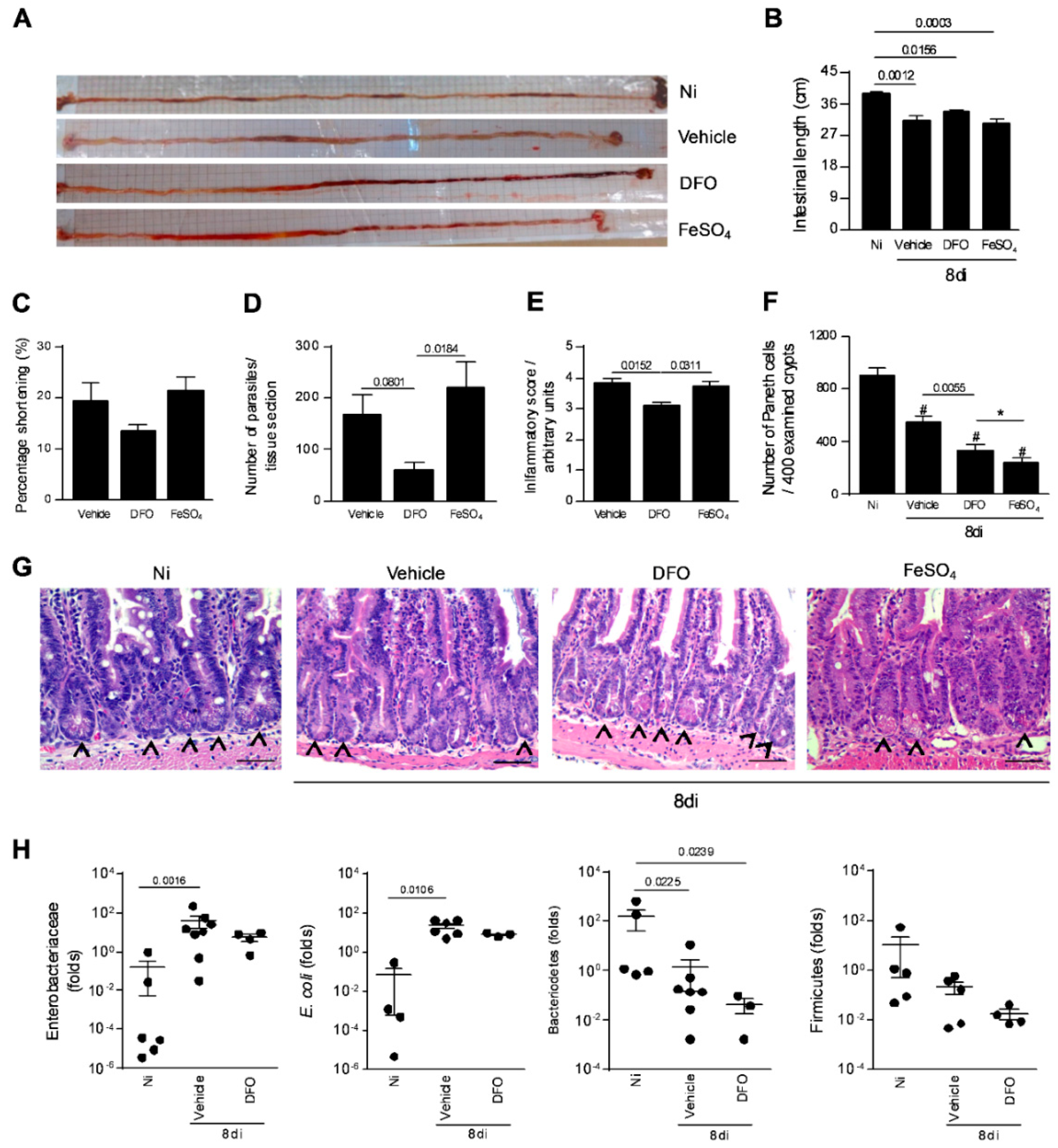 Microorganisms 08 00560 g004