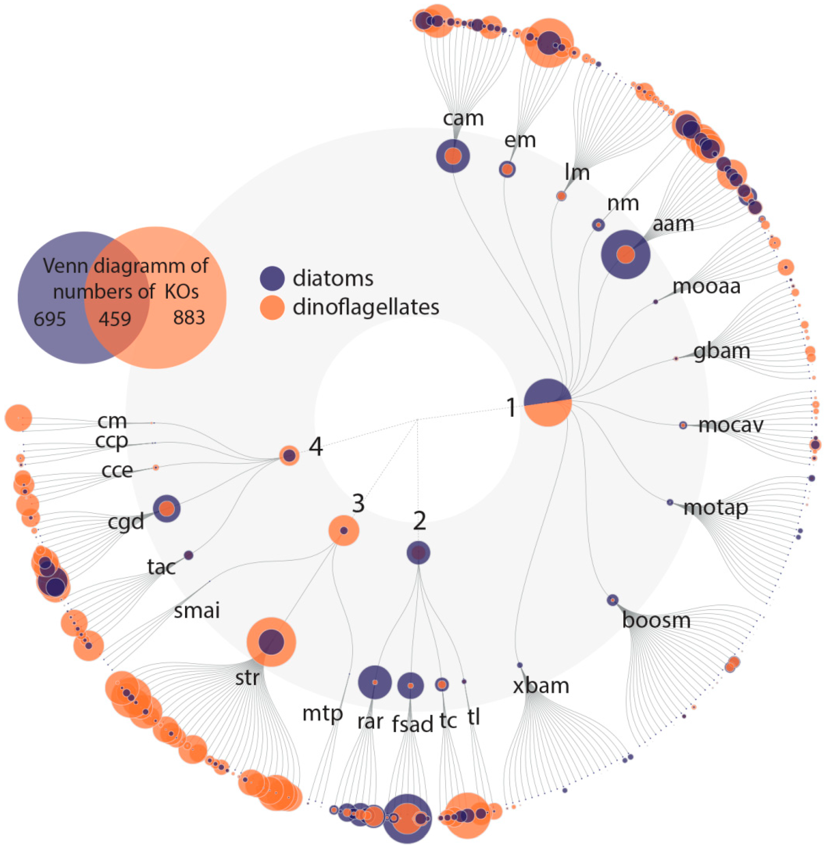 Microorganisms 08 00567 g005