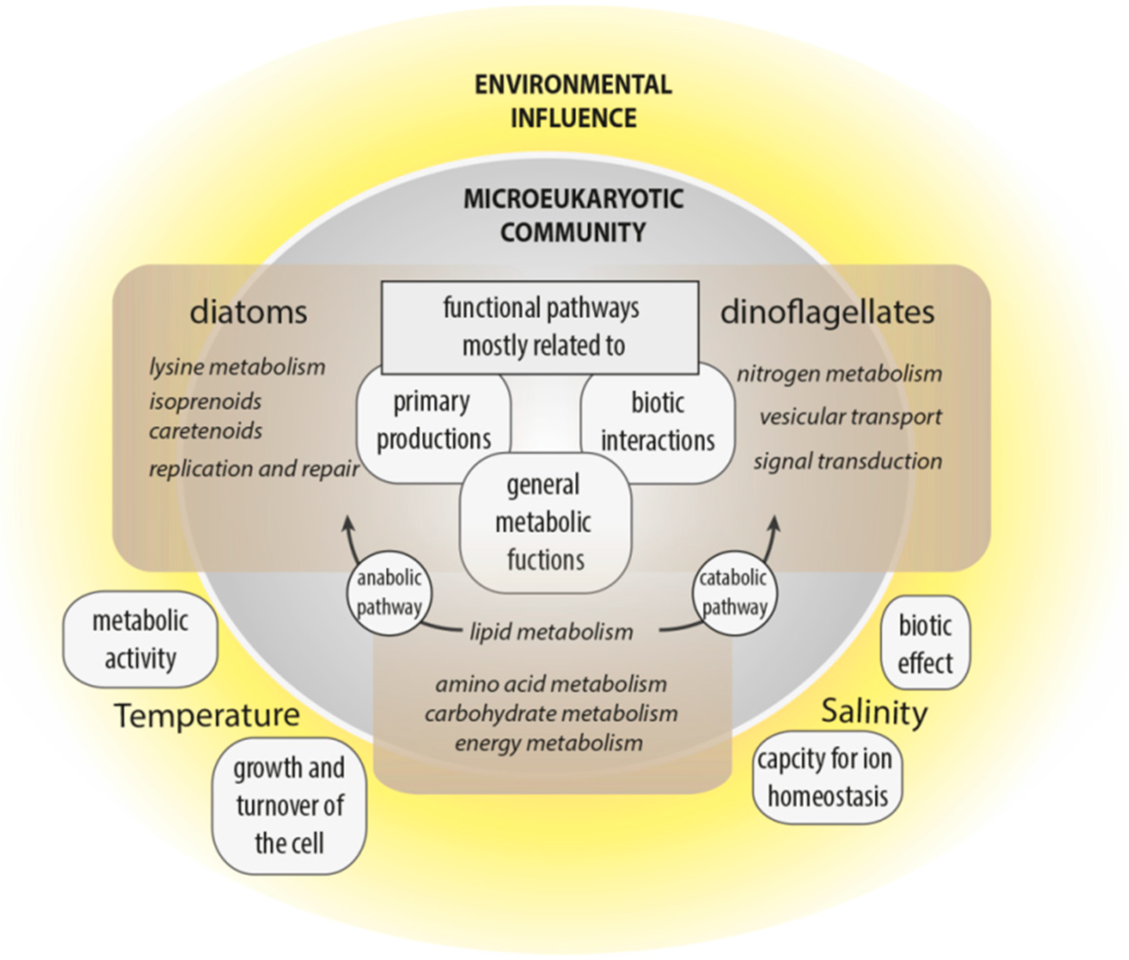 Microorganisms 08 00567 g006