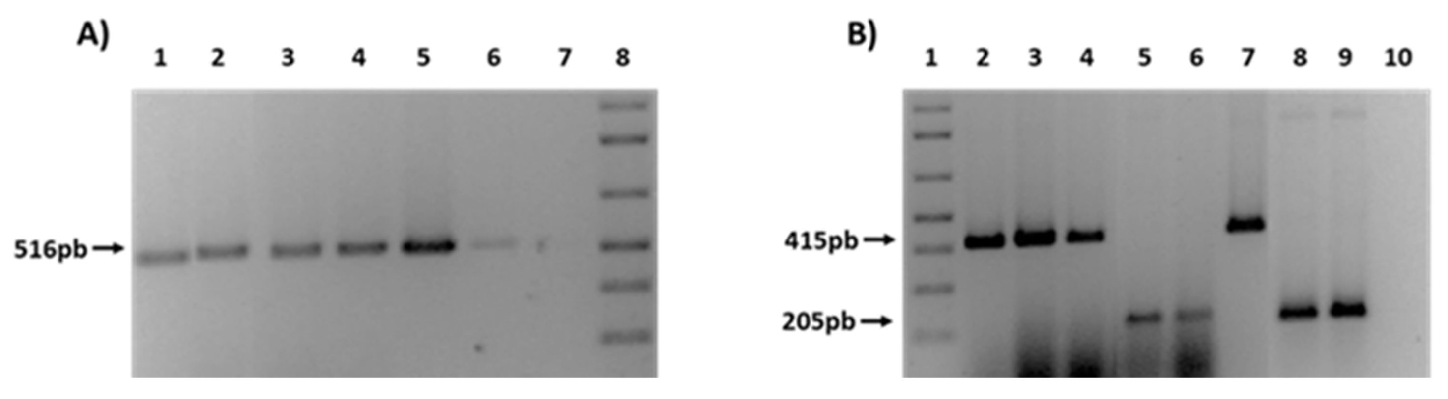 Microorganisms 08 00568 g004
