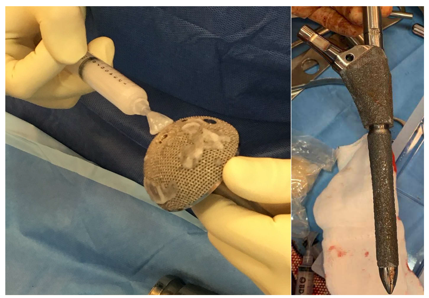 Microorganisms 08 00571 g001