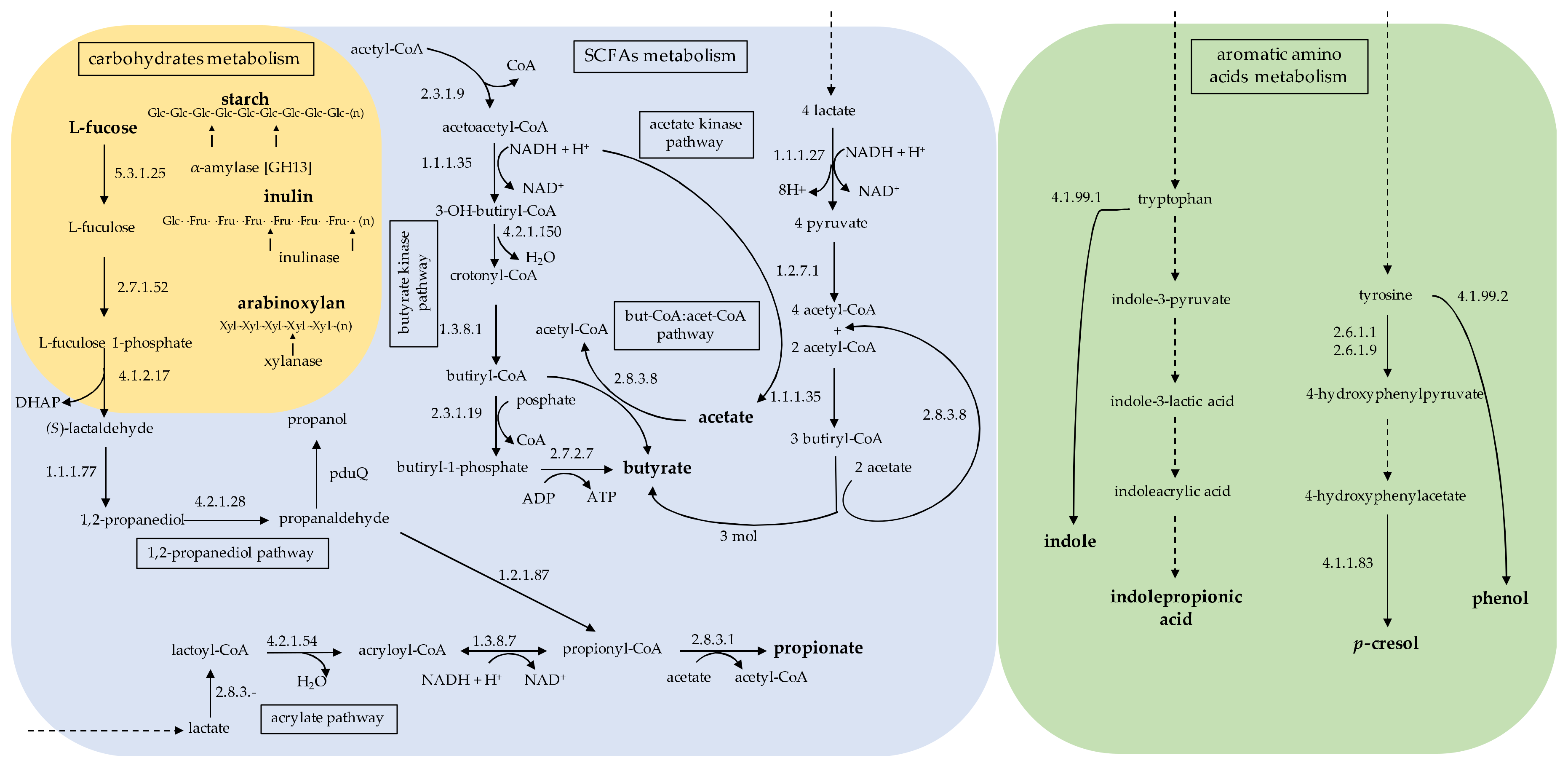 Microorganisms 08 00573 g002