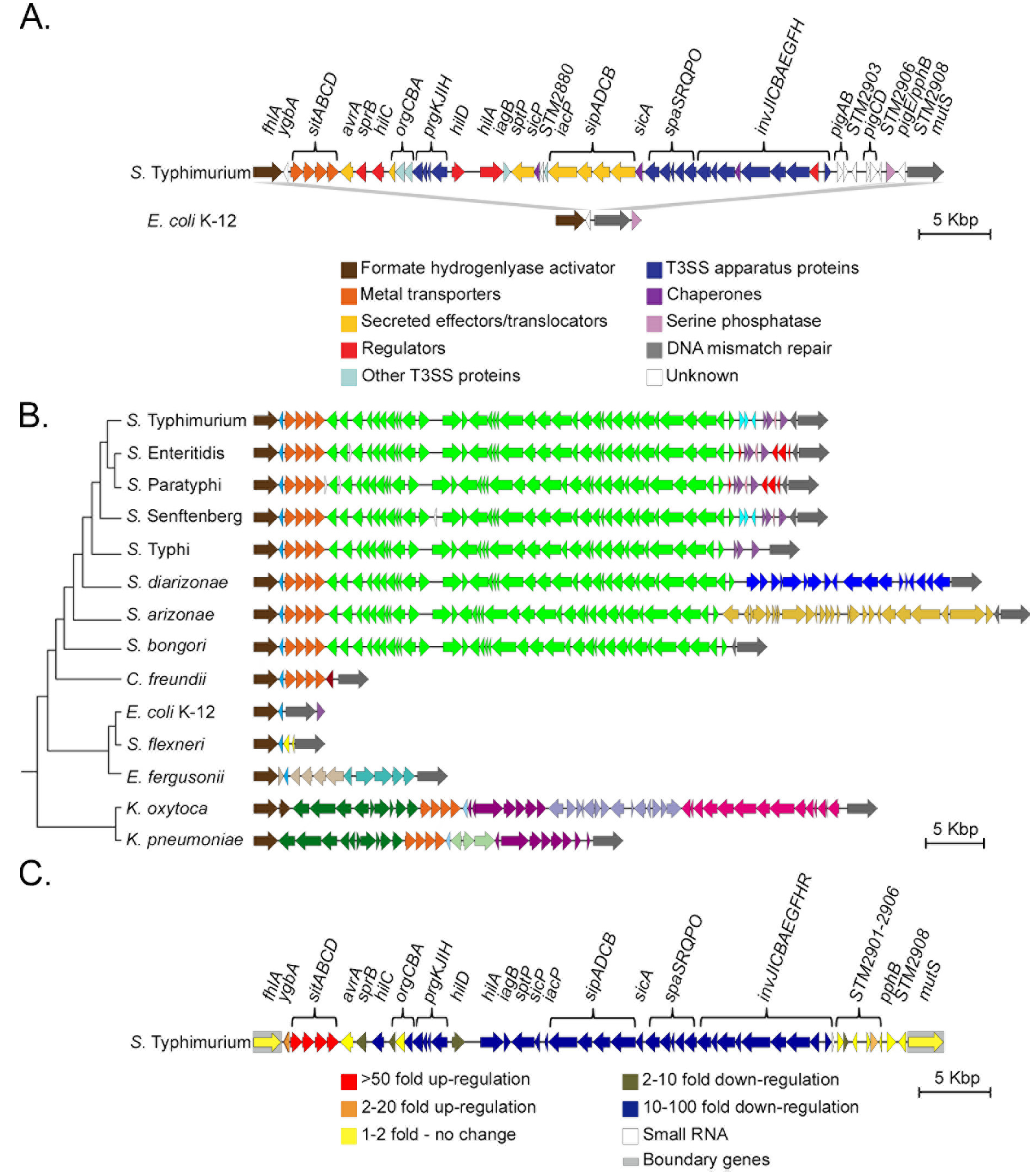 Microorganisms 08 00576 g001