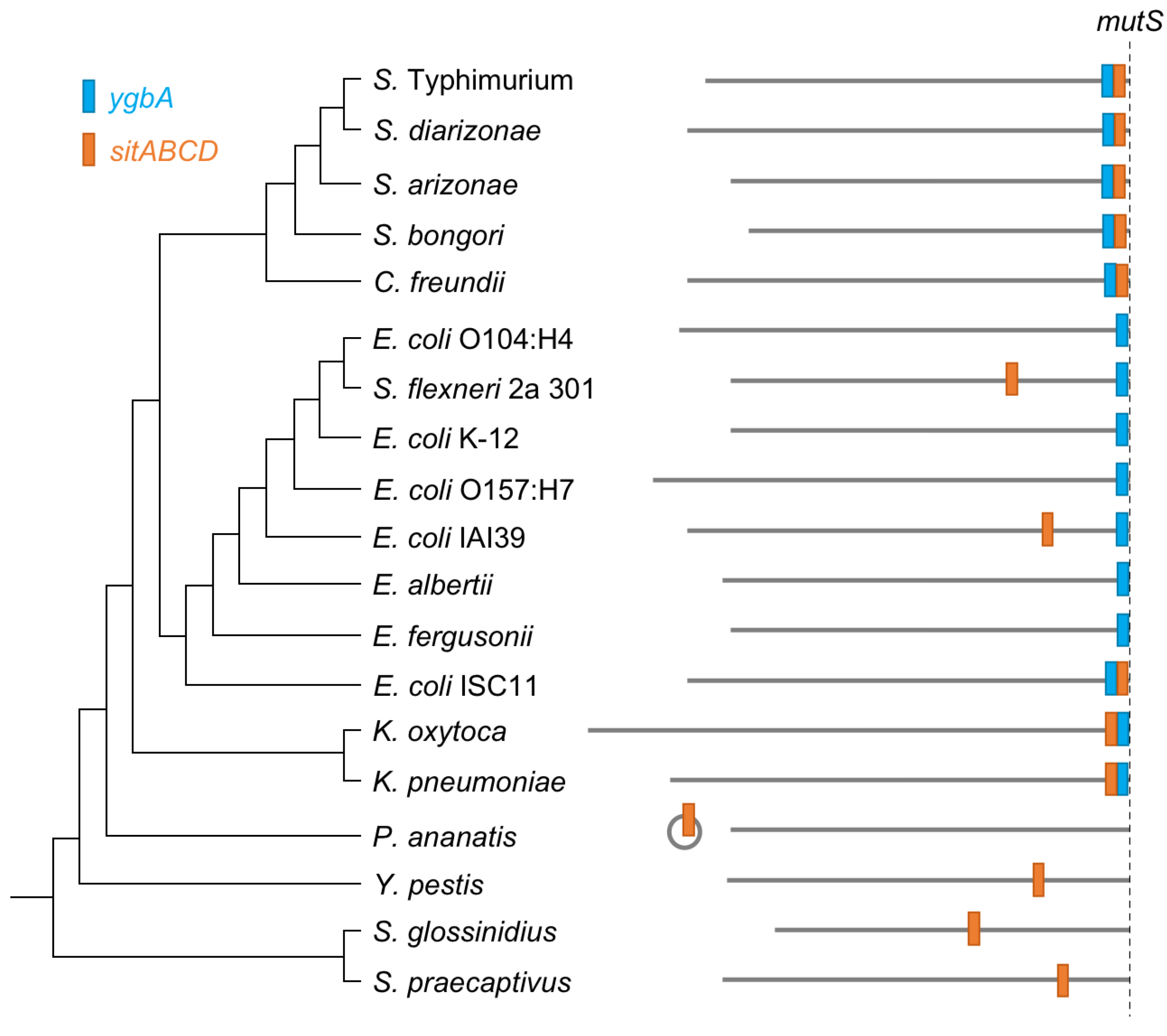 Microorganisms 08 00576 g002