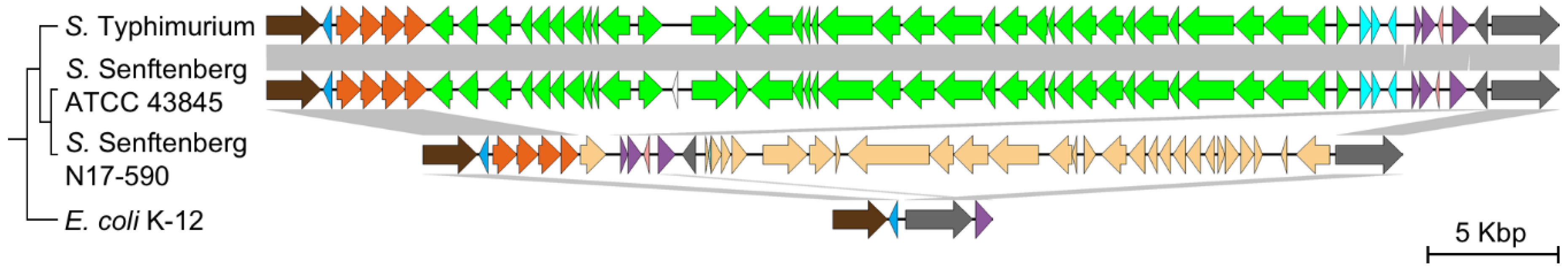 Microorganisms 08 00576 g004