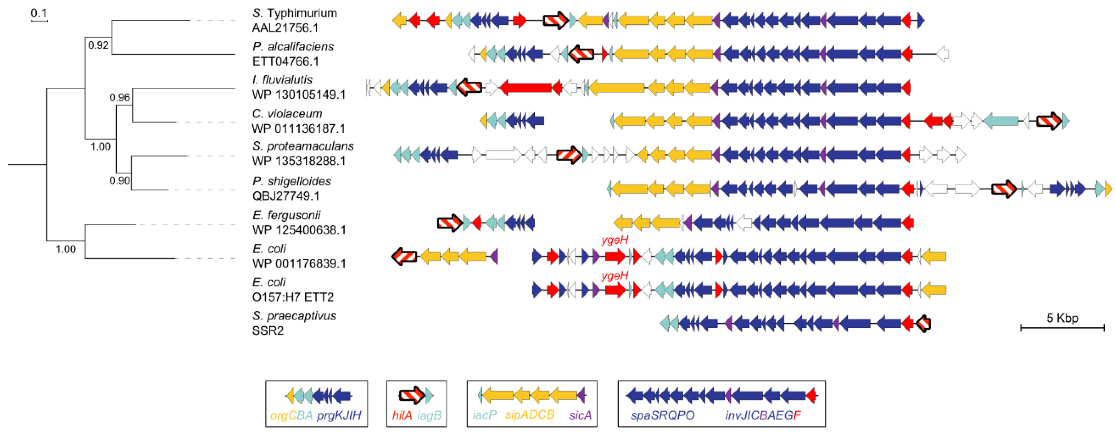 Microorganisms 08 00576 g006