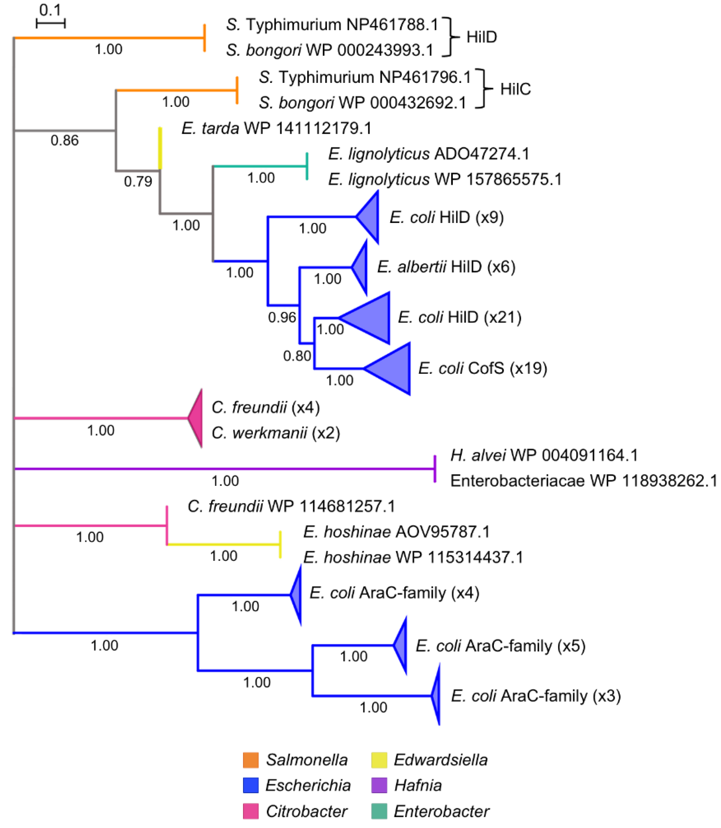 Microorganisms 08 00576 g007