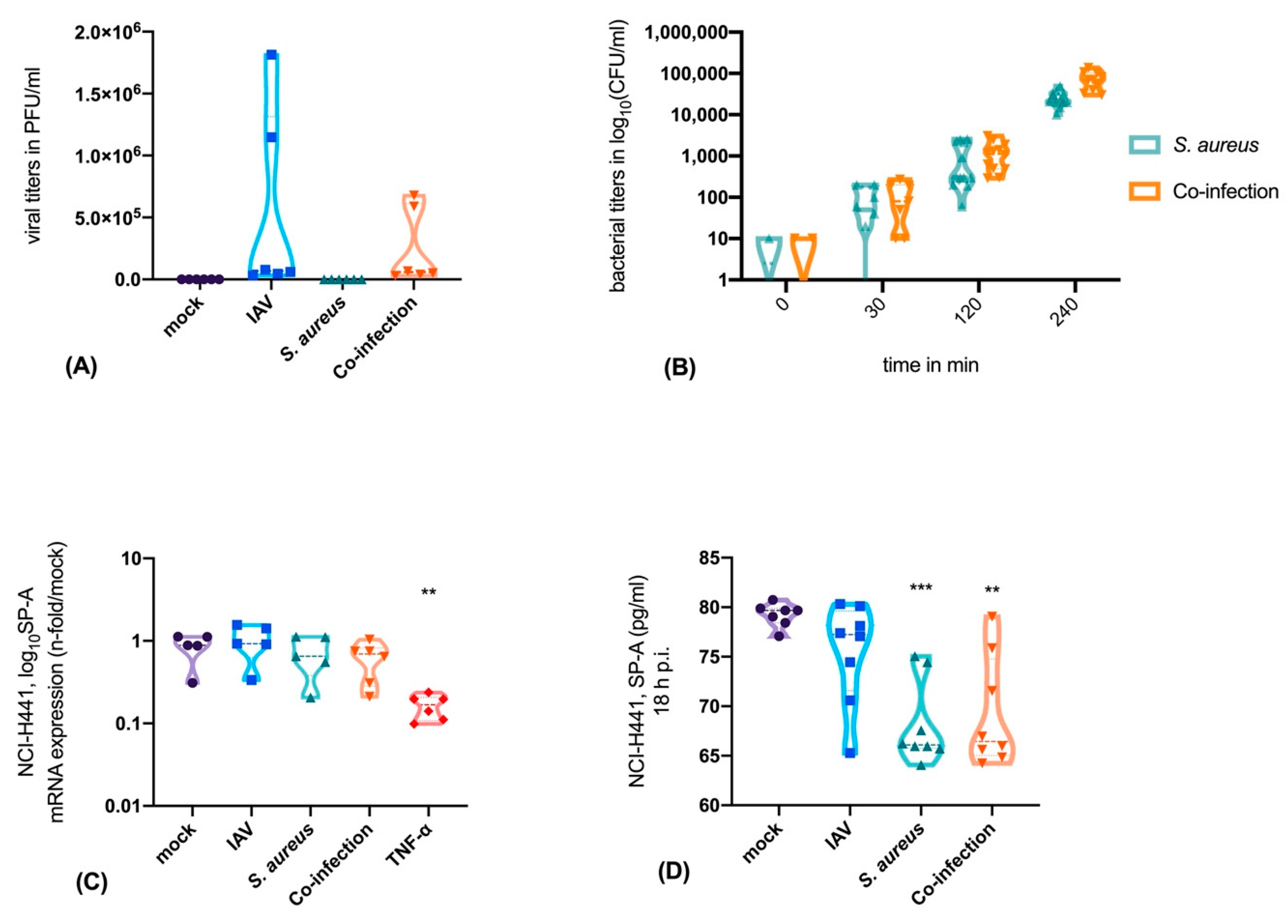 Microorganisms 08 00577 g001