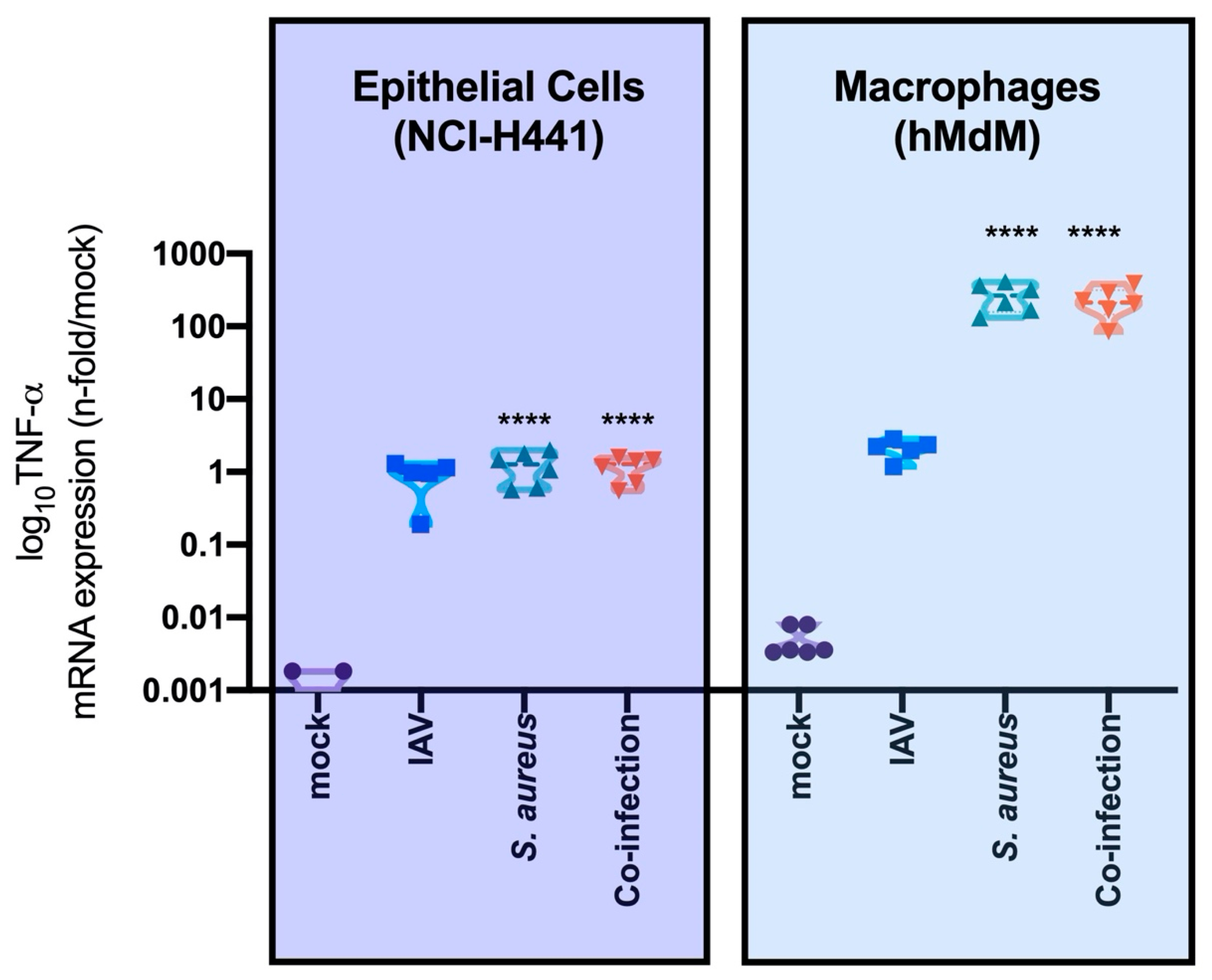 Microorganisms 08 00577 g003
