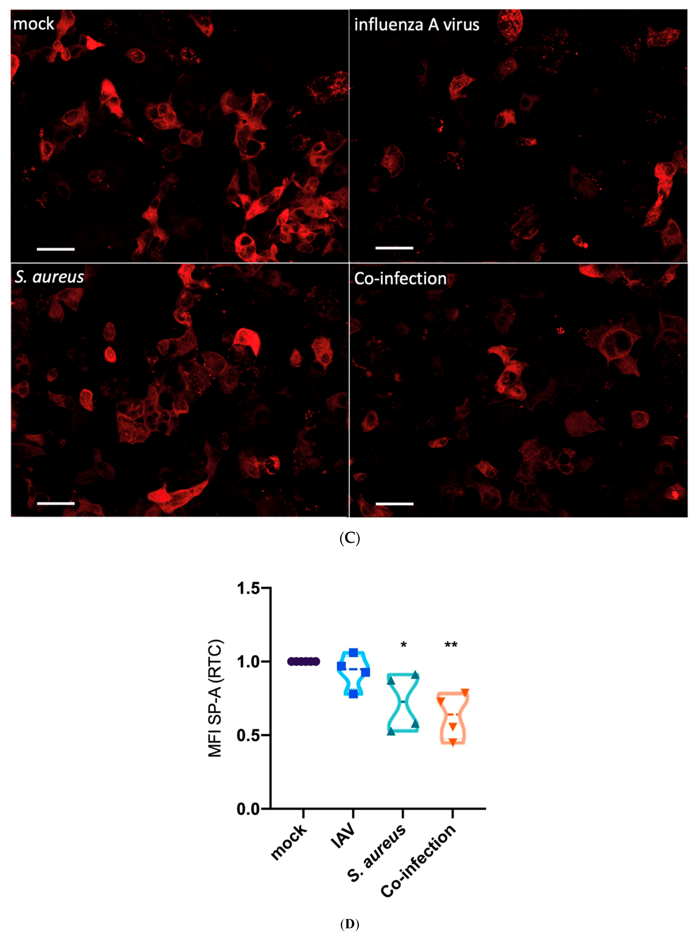 Microorganisms 08 00577 g004b
