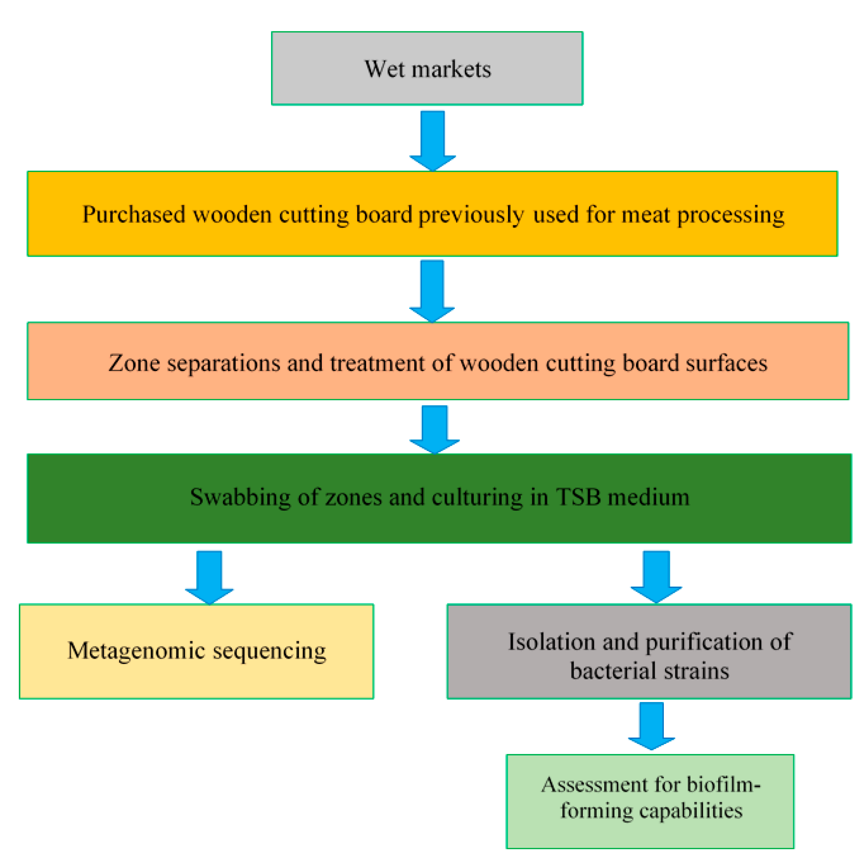 Microorganisms 08 00579 g002