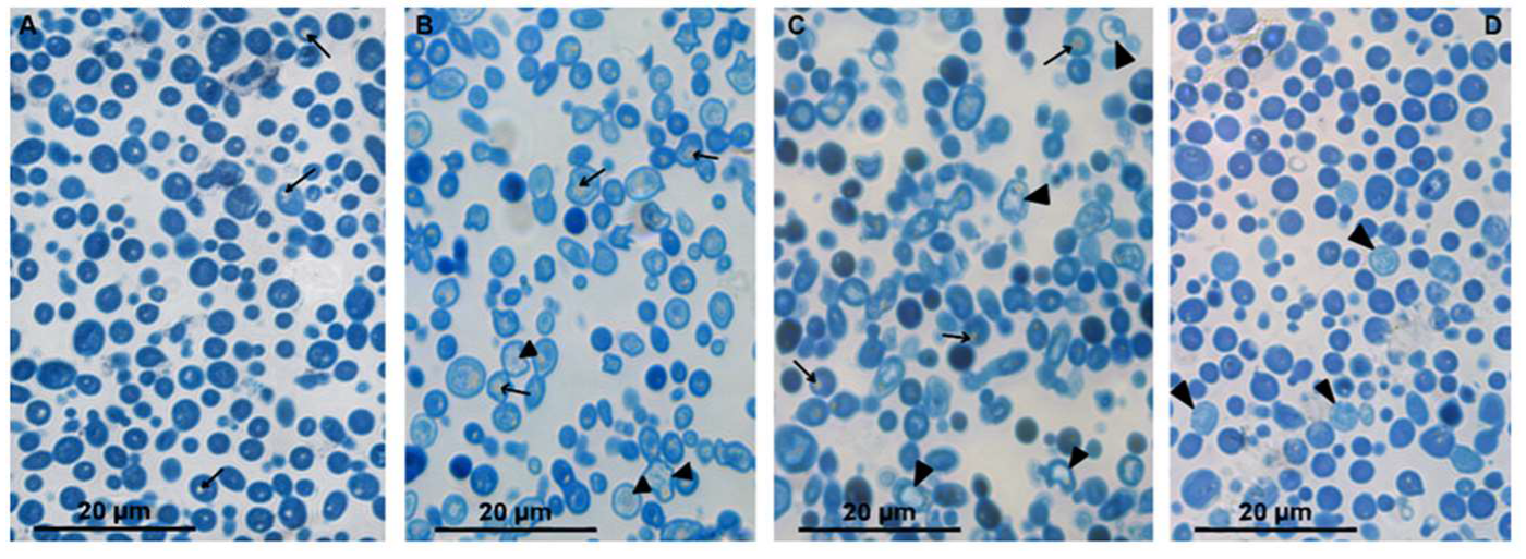 Microorganisms 08 00582 g001 Microorganisms 08 00582 g001