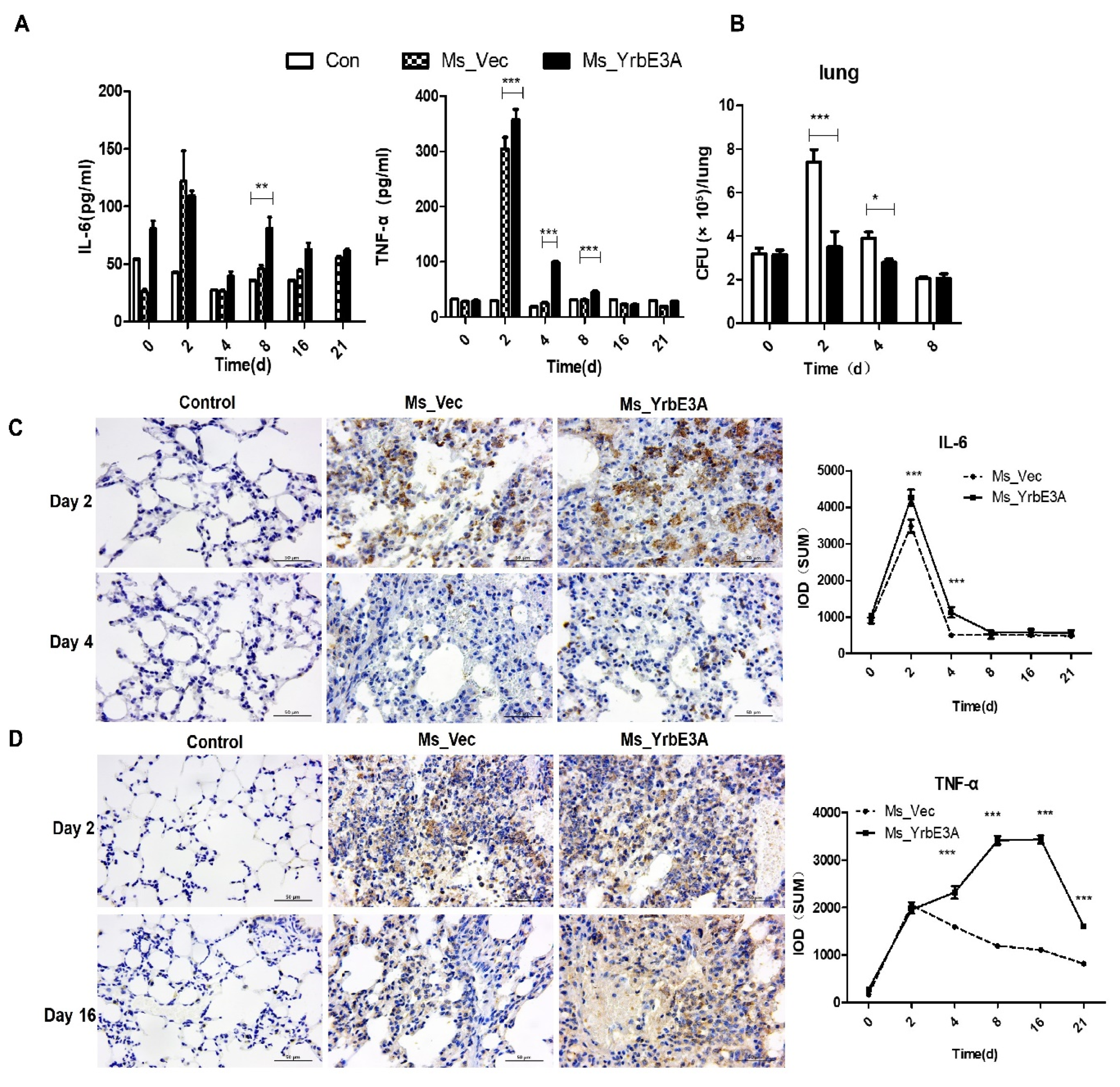 Microorganisms 08 00584 g005 Microorganisms 08 00584 g005