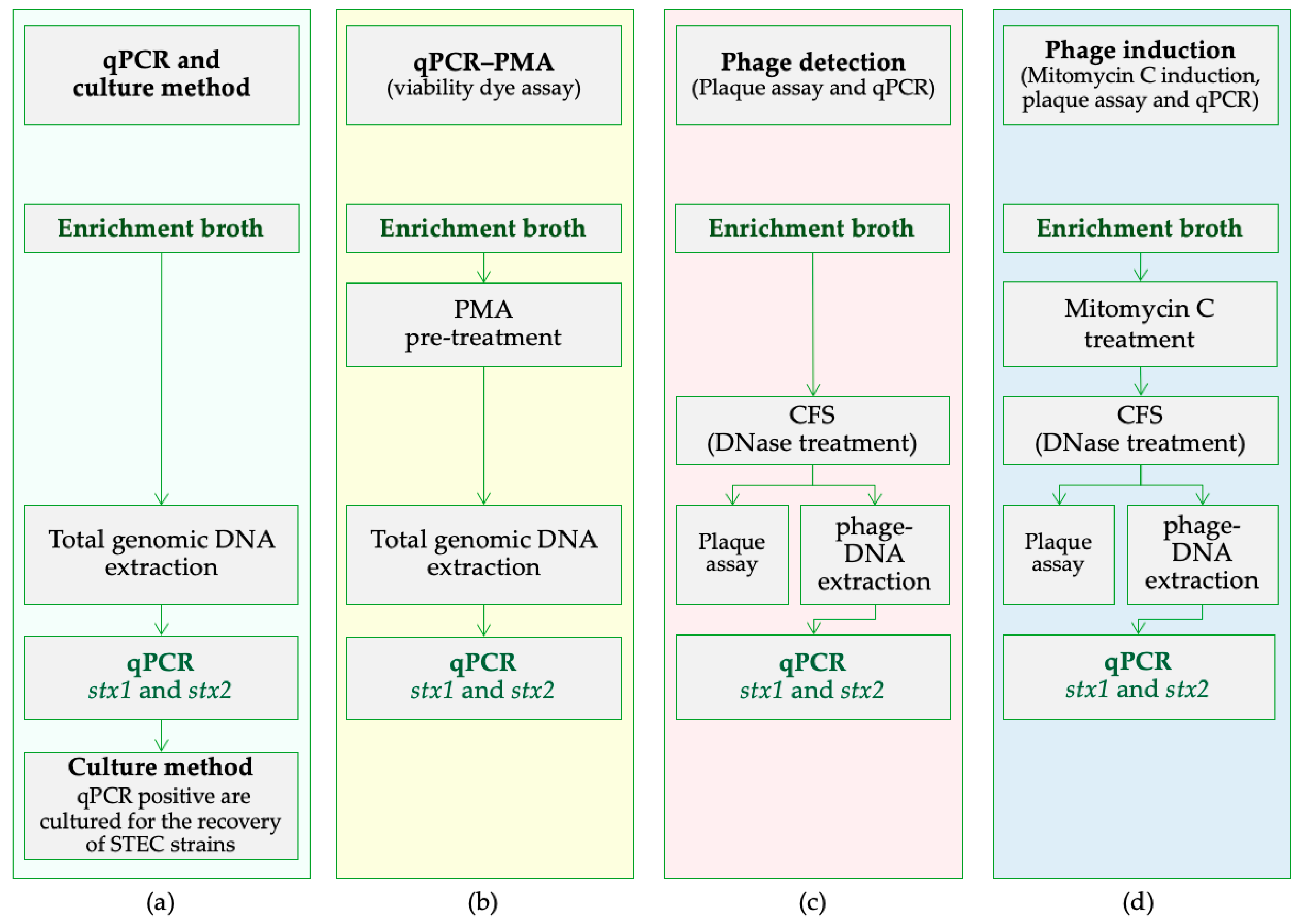 Microorganisms 08 00587 g001