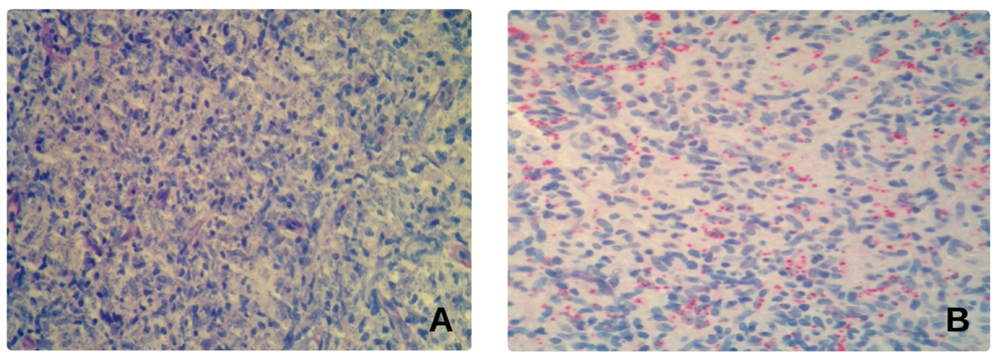 Microorganisms 08 00588 g002