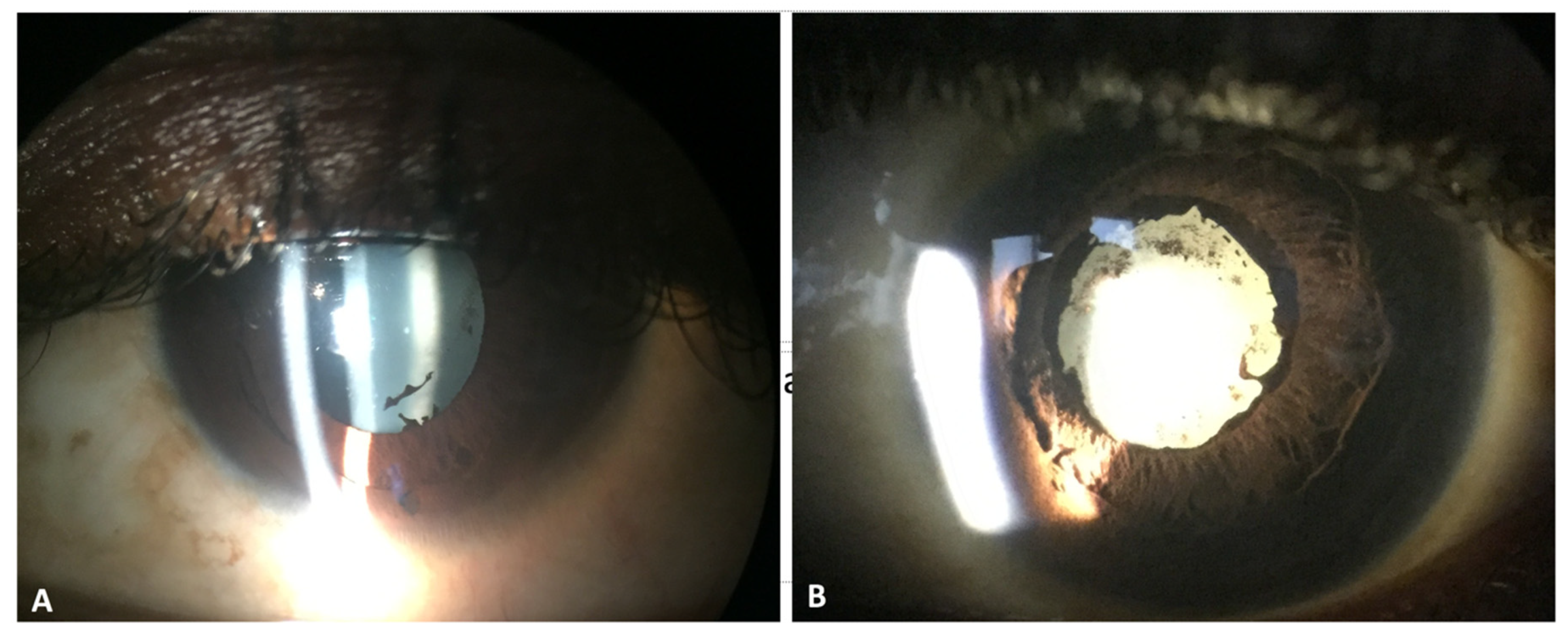 Microorganisms 08 00594 g001 Microorganisms 08 00594 g001