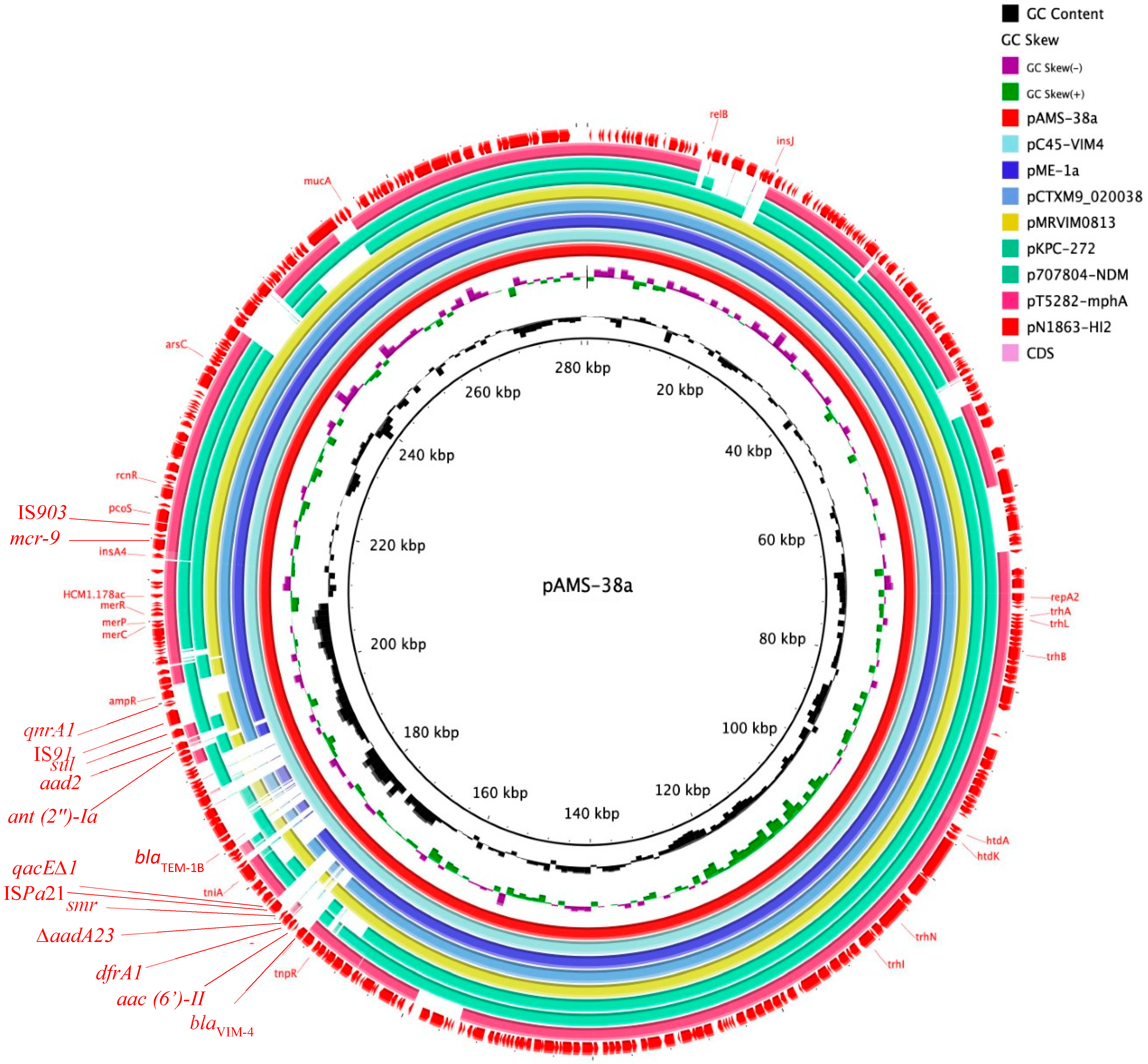 Microorganisms 08 00595 g001