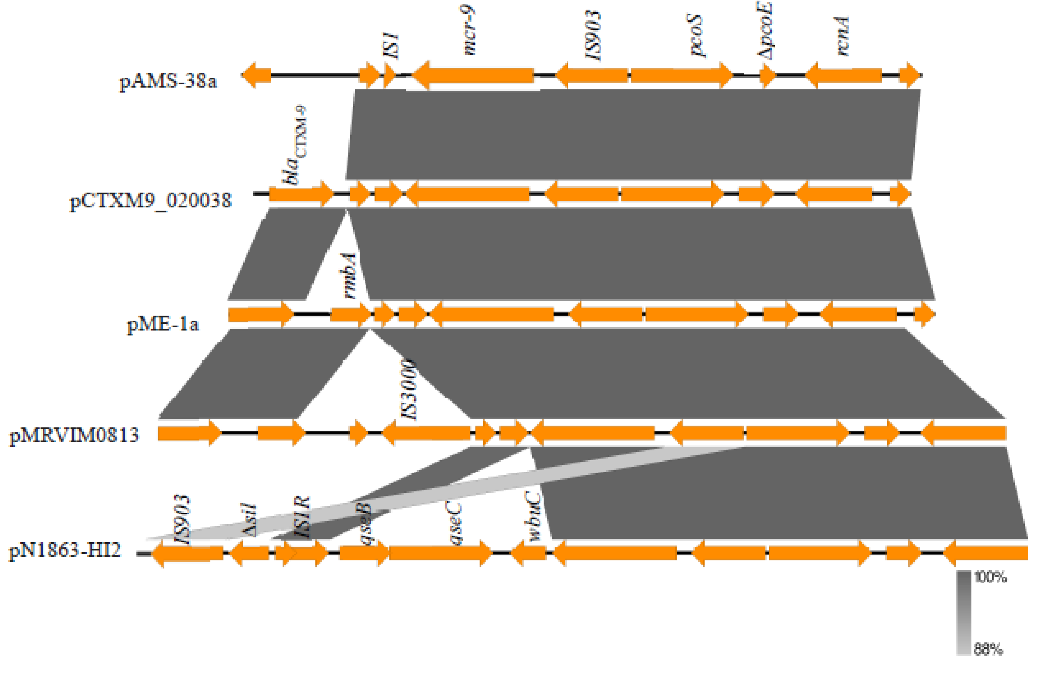 Microorganisms 08 00595 g002