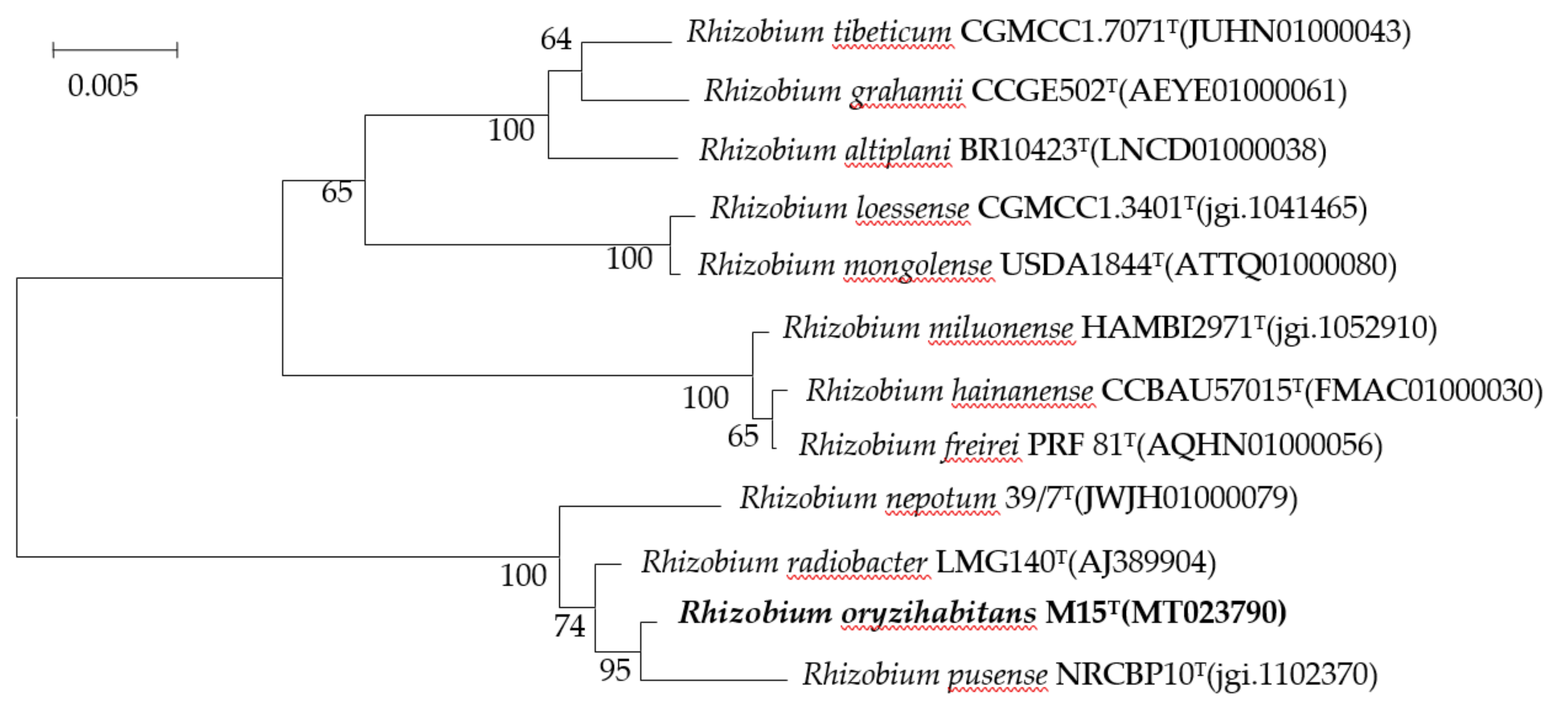 Microorganisms 08 00608 g001