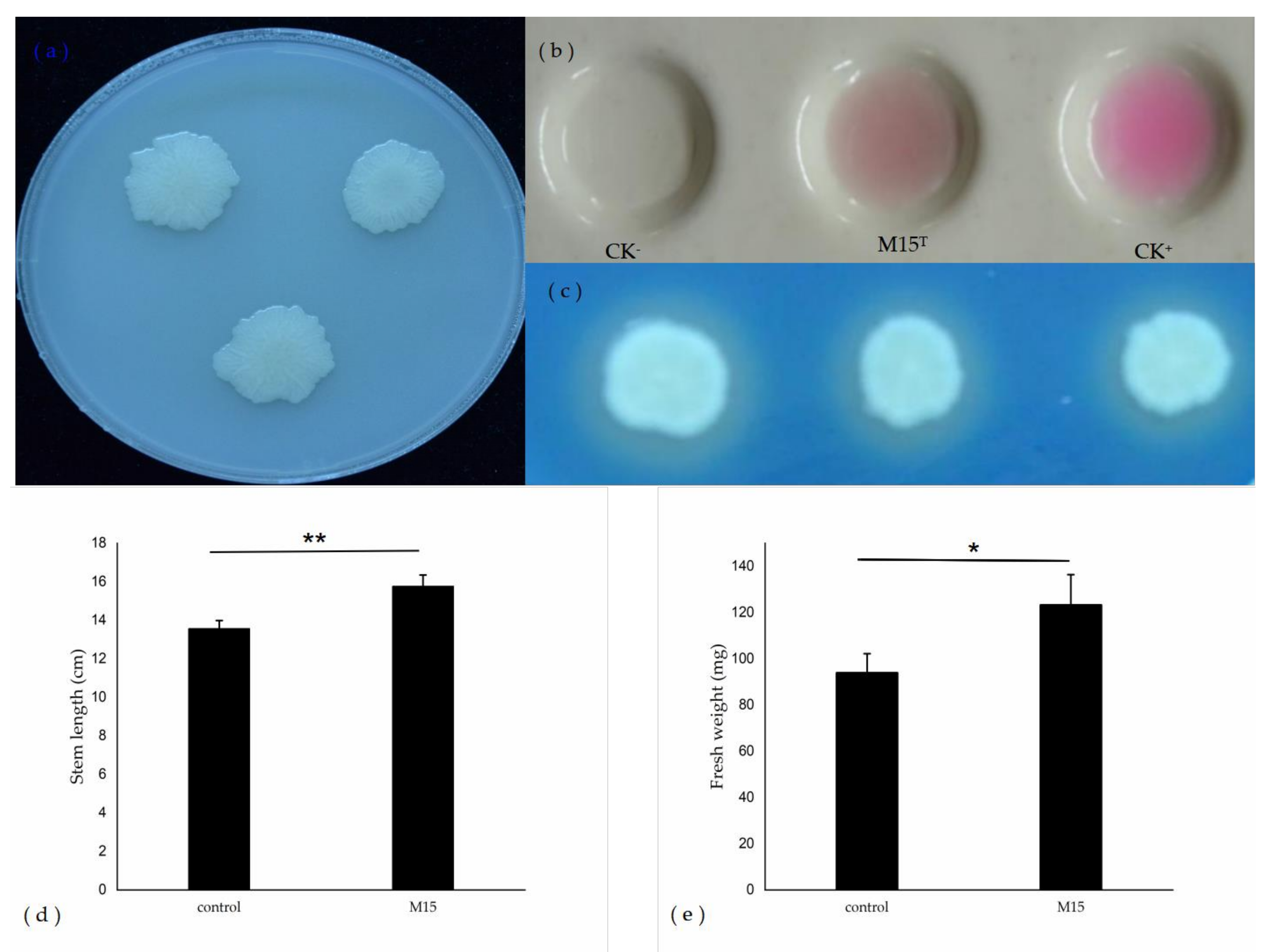 Microorganisms 08 00608 g002