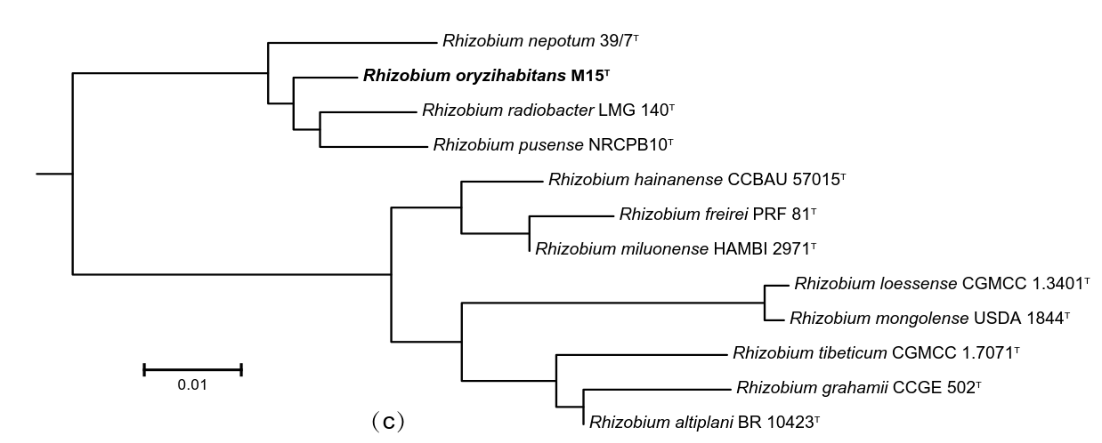 Microorganisms 08 00608 g003b