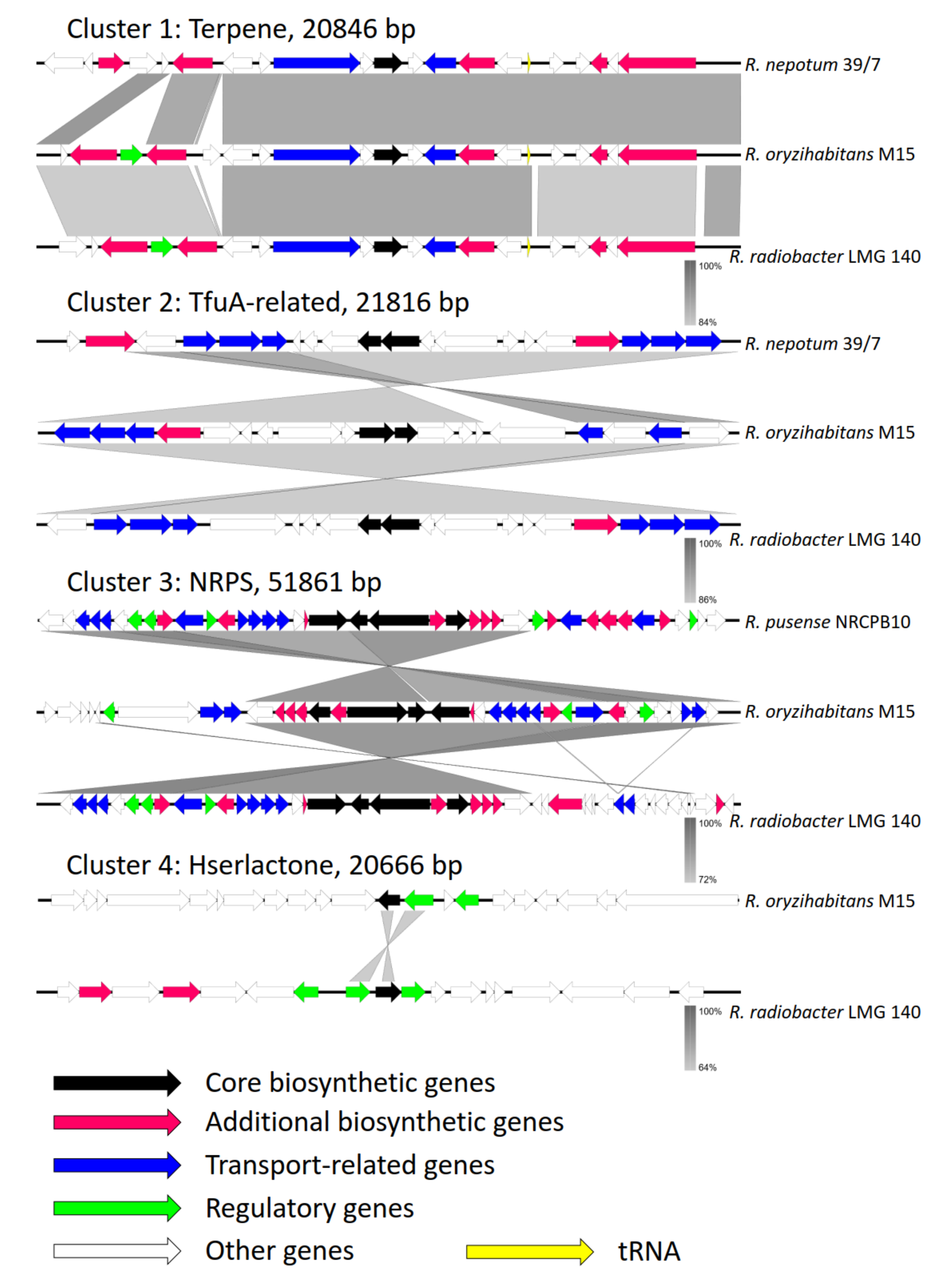 Microorganisms 08 00608 g004