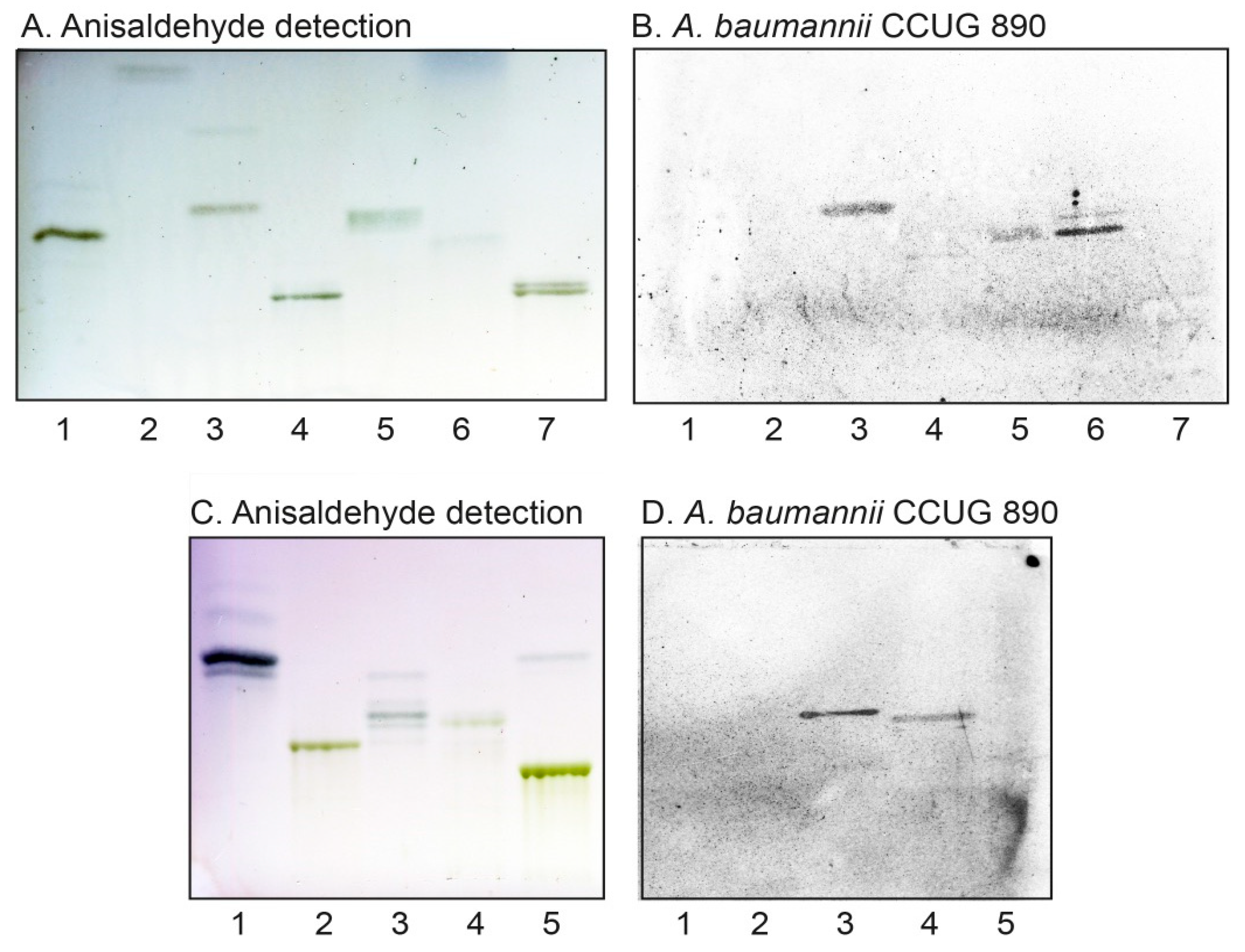 Microorganisms 08 00612 g002