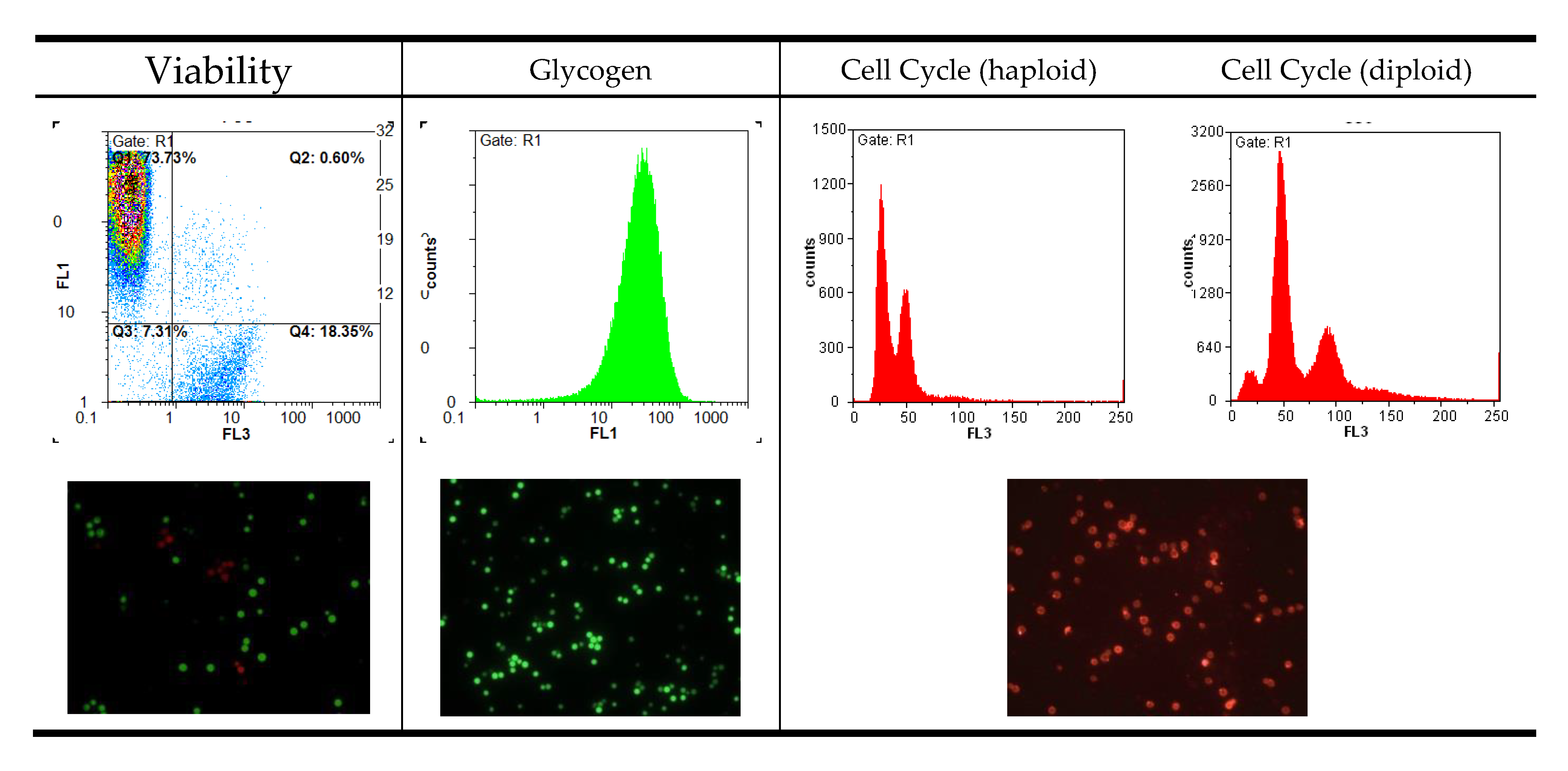 Microorganisms 08 00619 g001