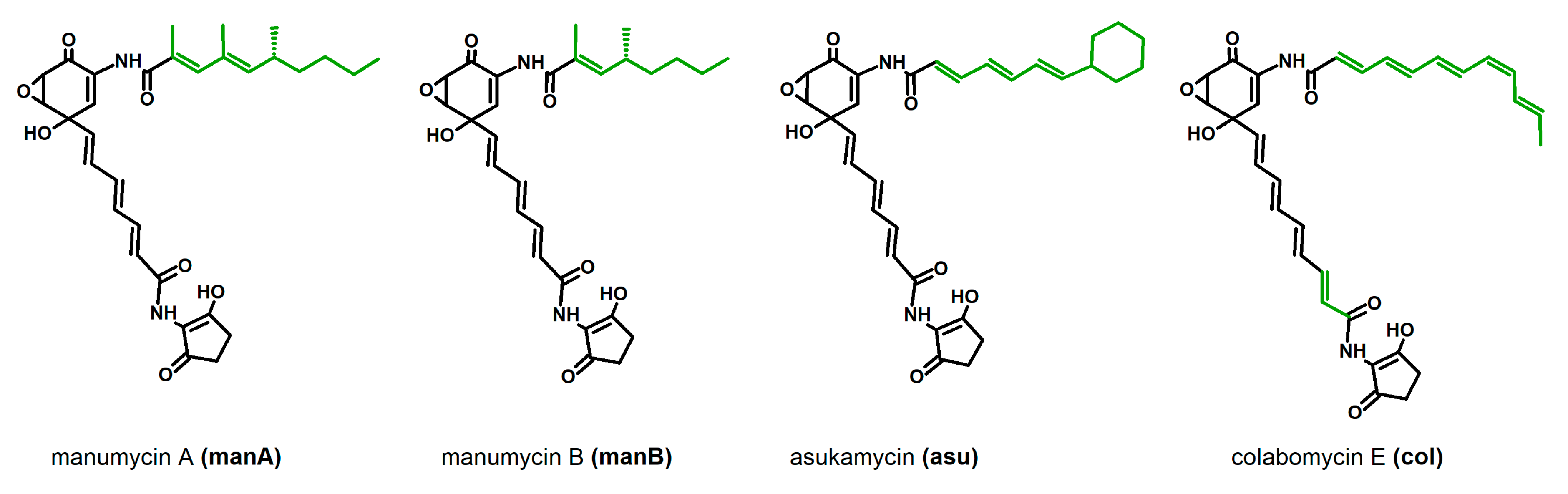 Microorganisms 08 00621 g001