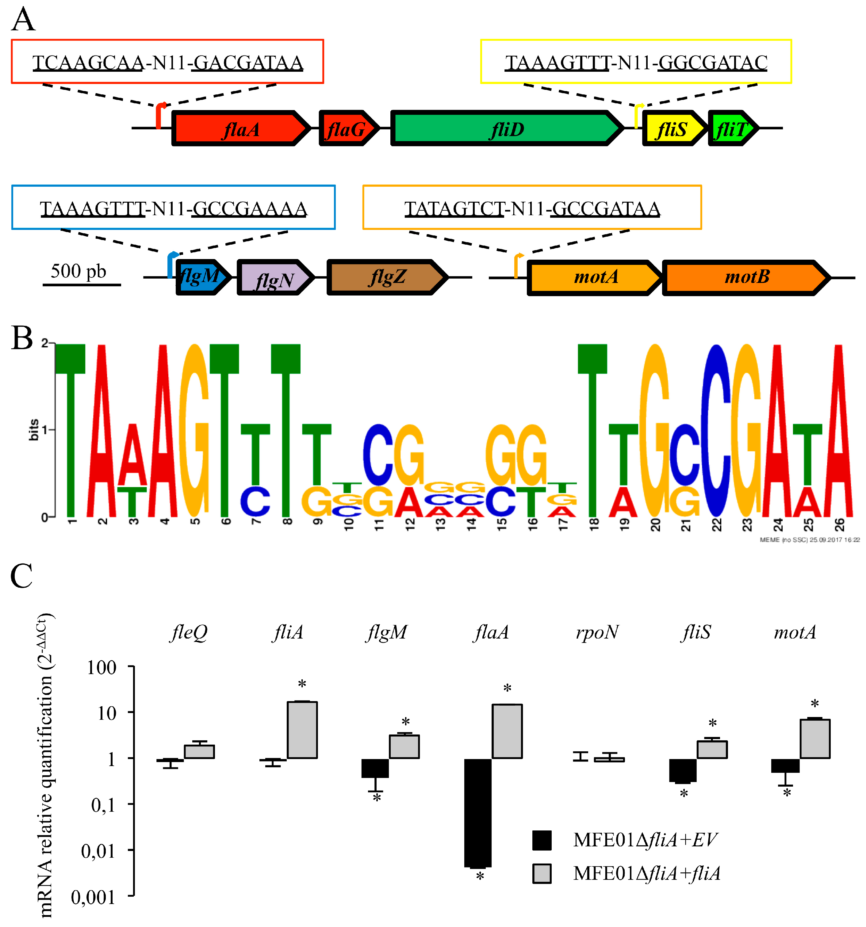 Microorganisms 08 00622 g004