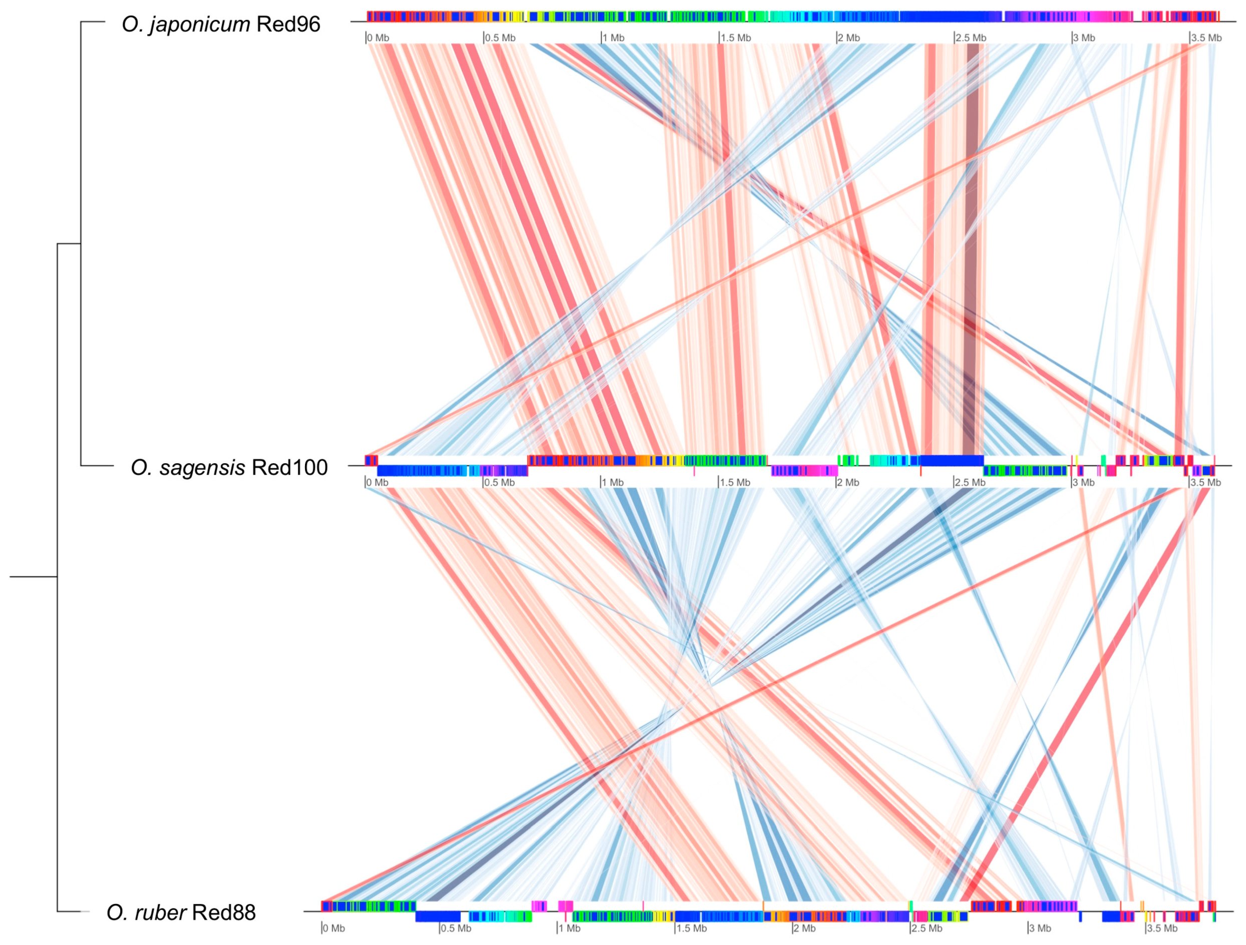 Microorganisms 08 00634 g009