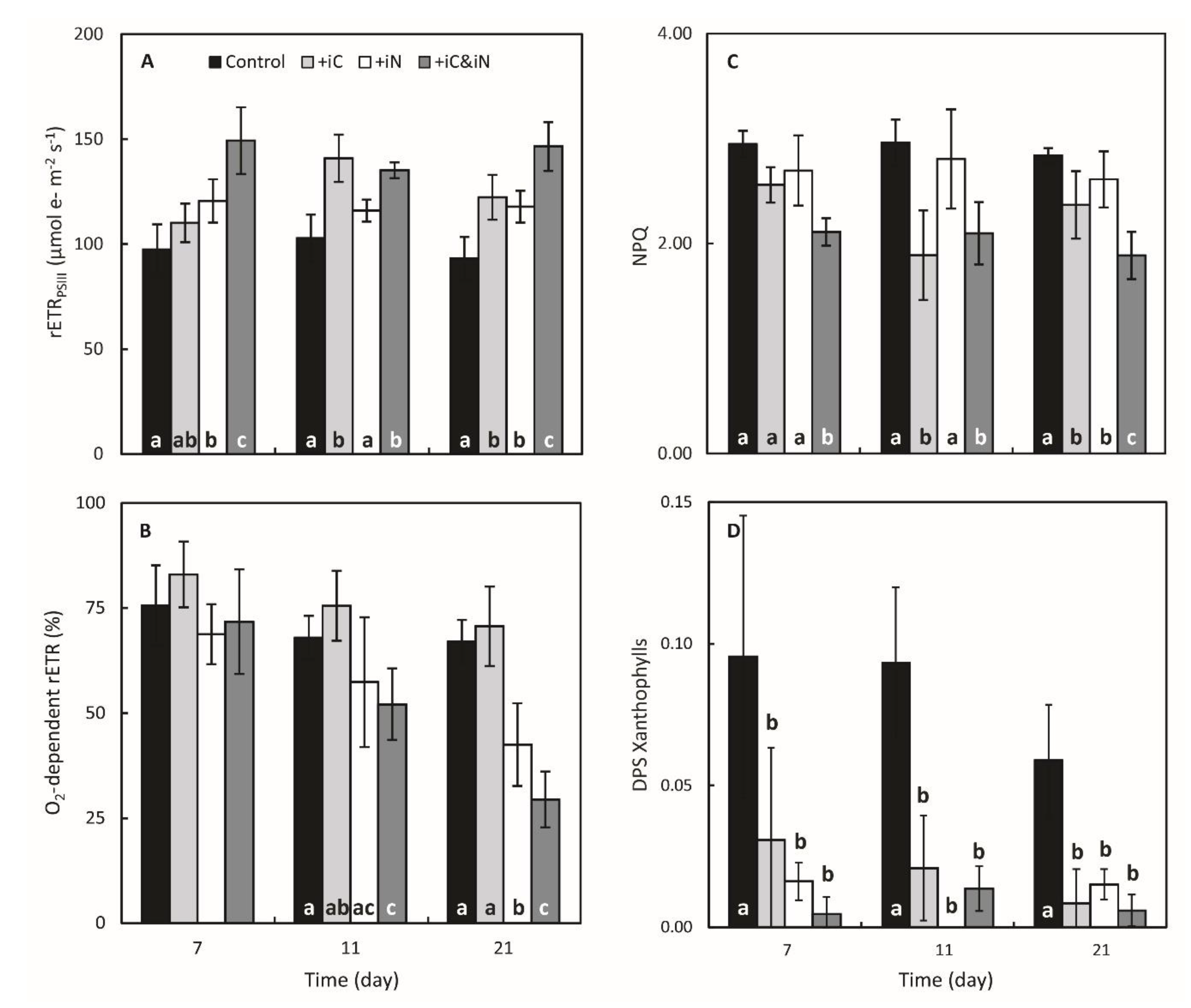 Microorganisms 08 00640 g003
