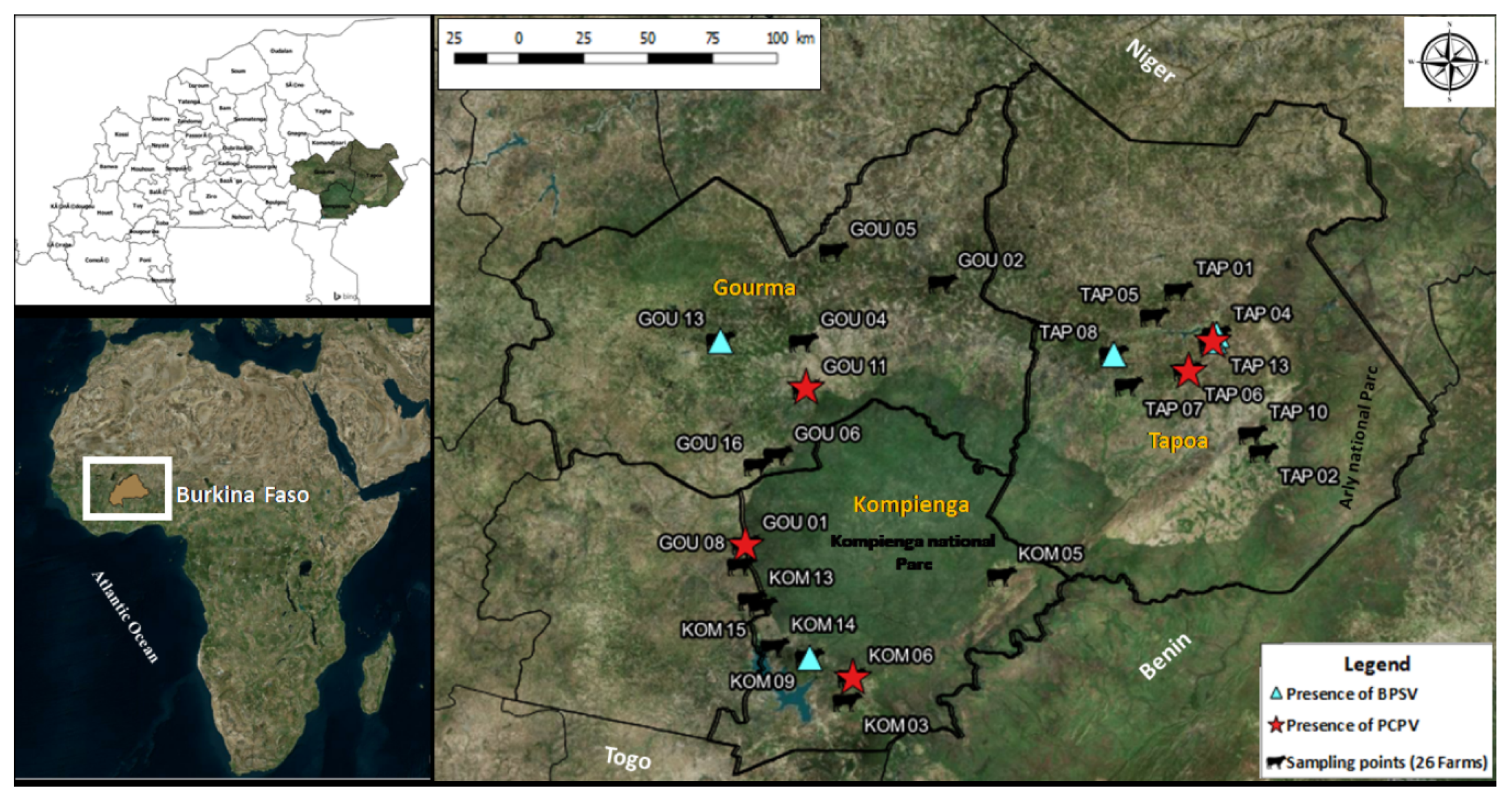 Microorganisms 08 00644 g001