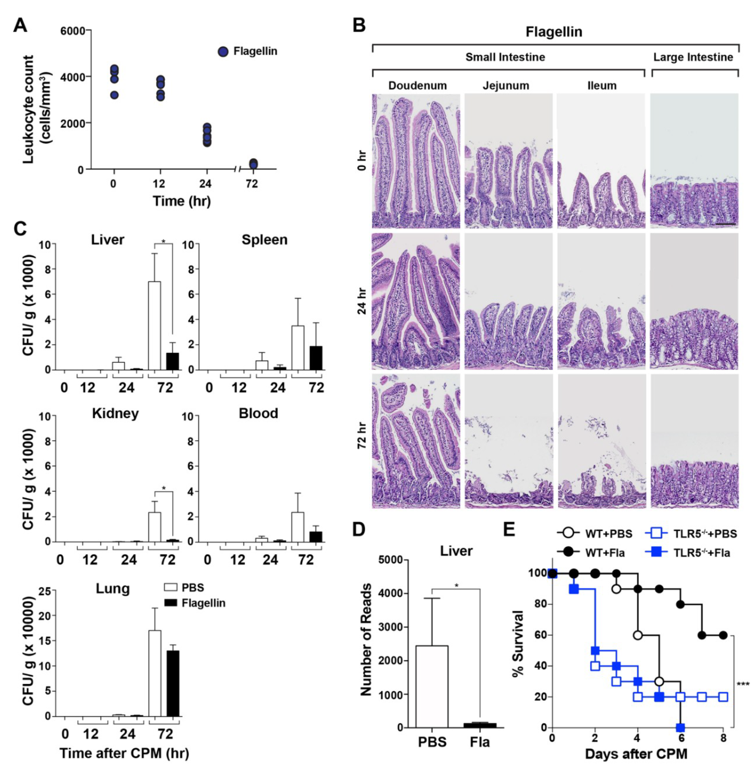 Microorganisms 08 00646 g001