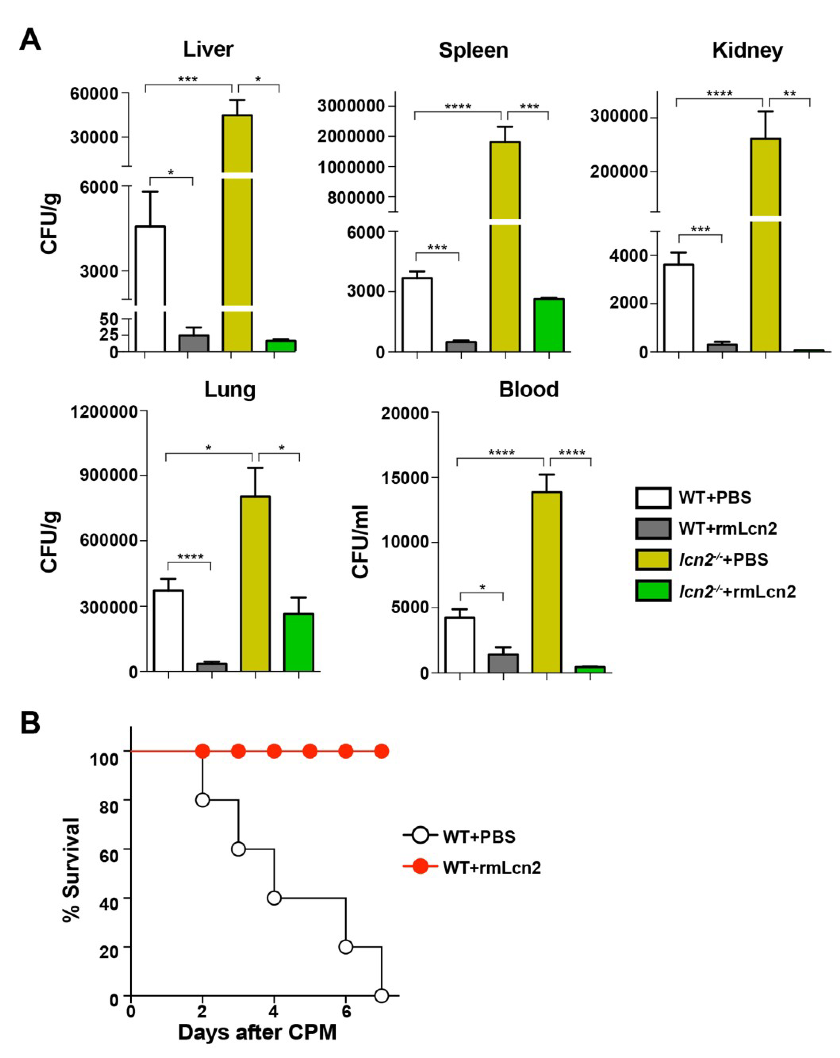 Microorganisms 08 00646 g003