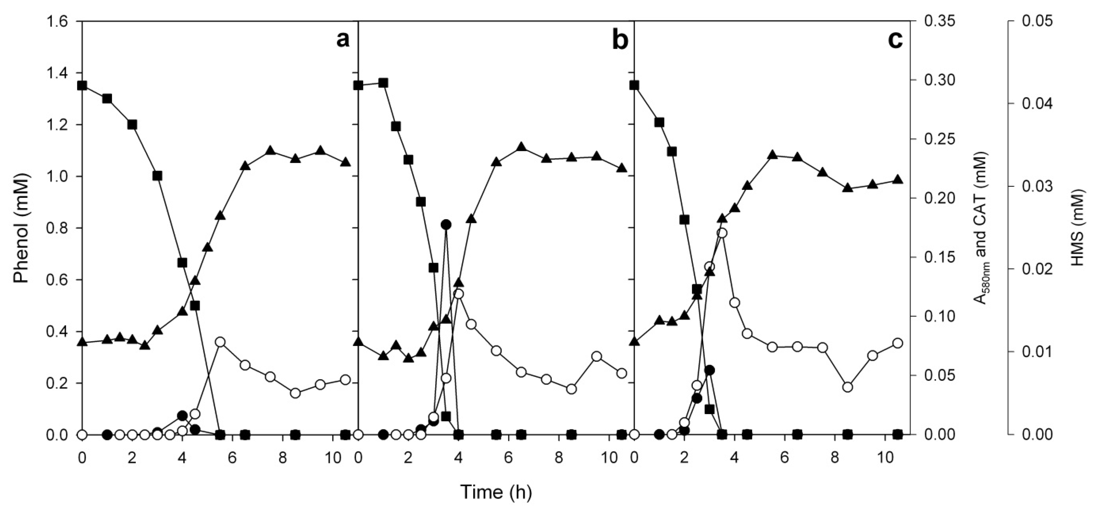 Microorganisms 08 00652 g008