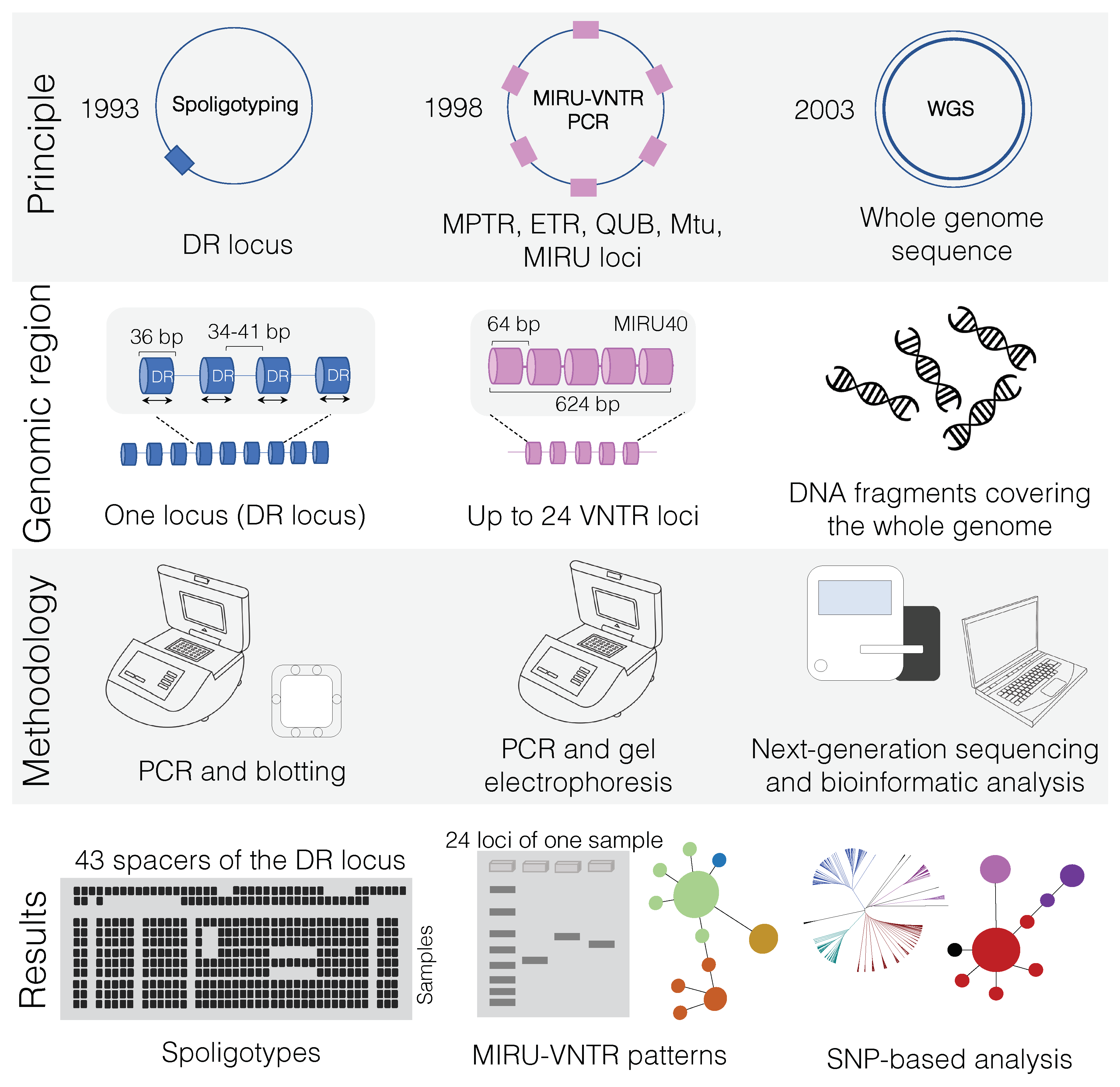 Microorganisms 08 00667 g002