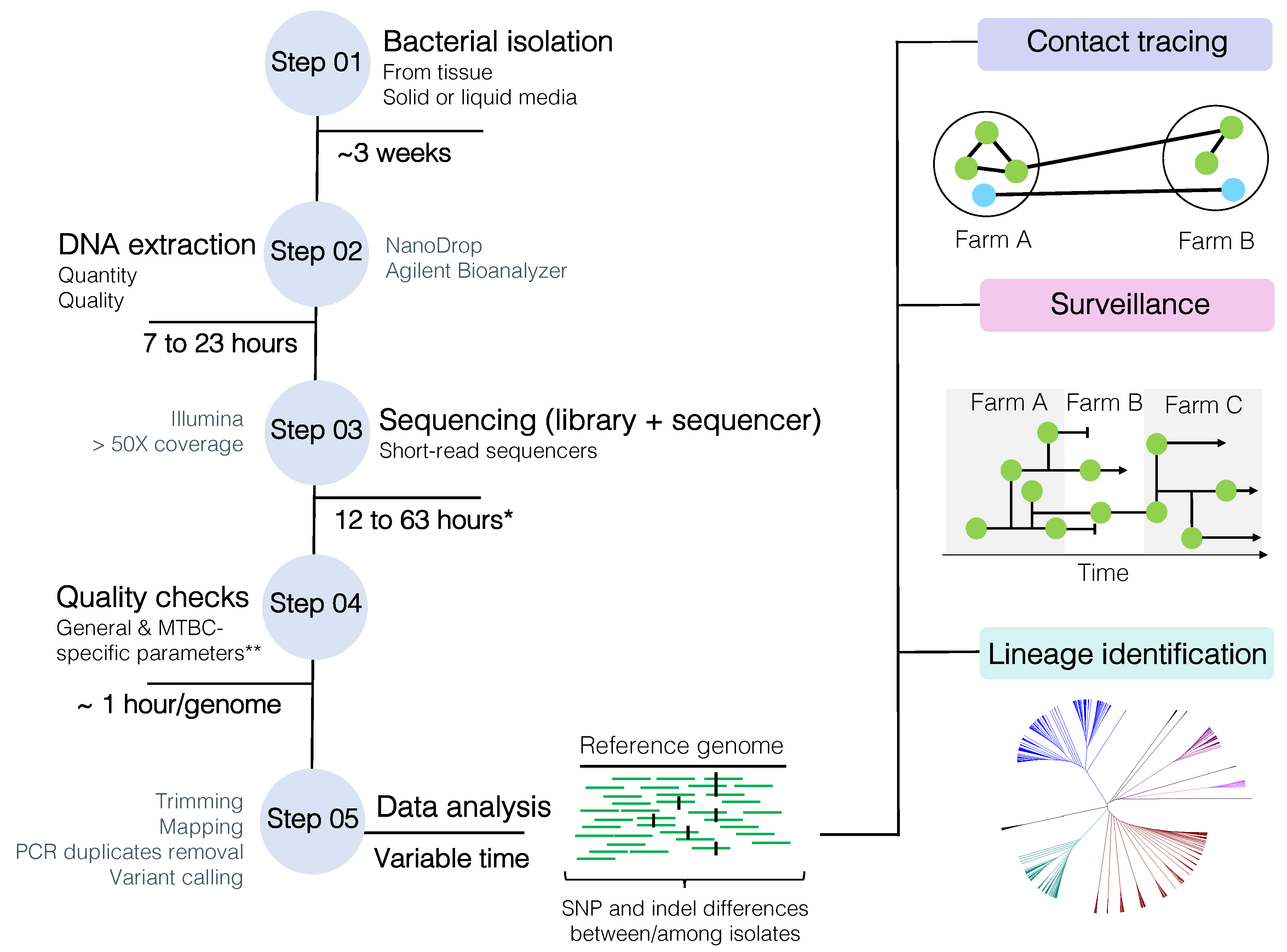Microorganisms 08 00667 g003