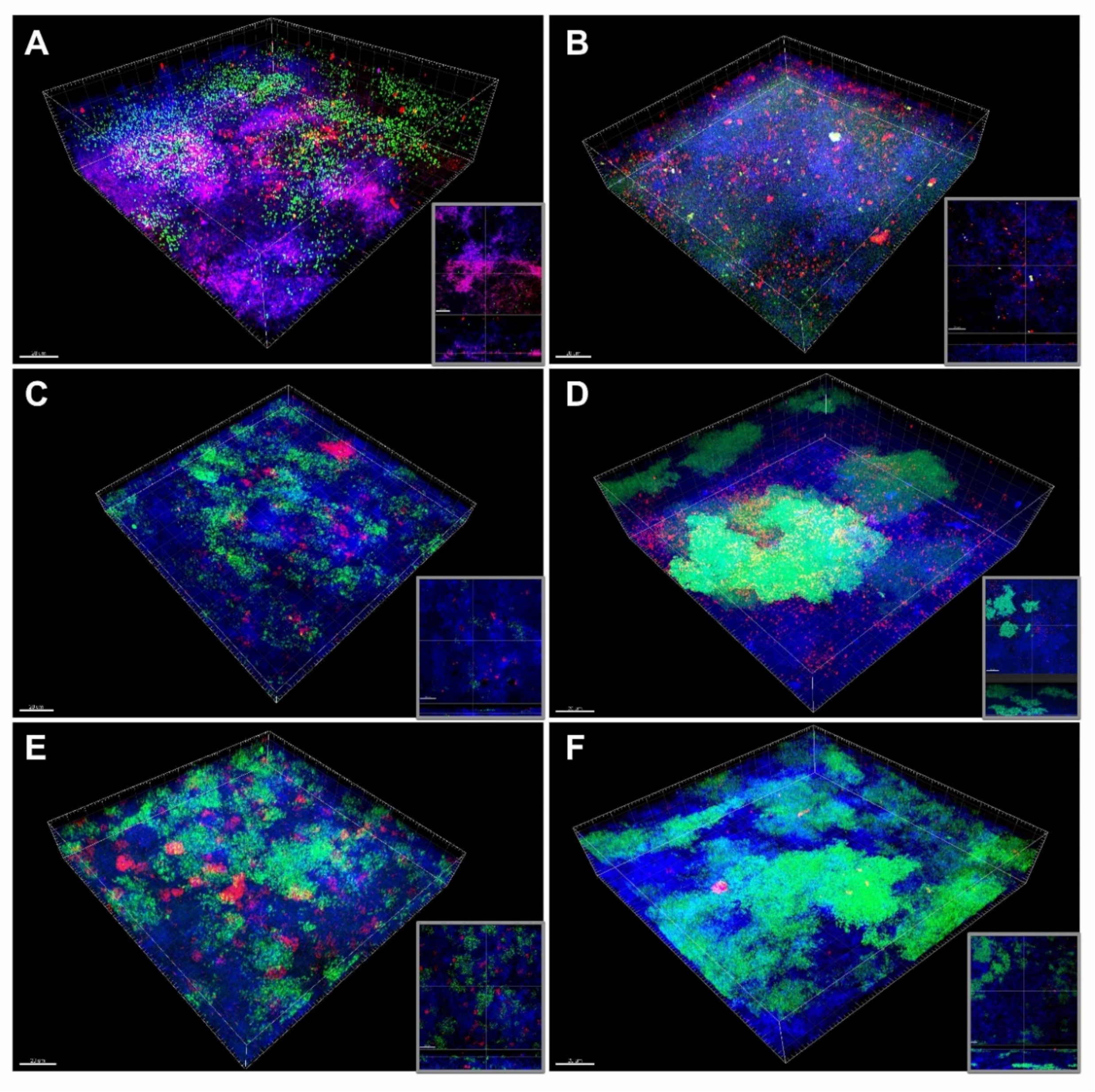 Microorganisms 08 00674 g005 Microorganisms 08 00674 g005