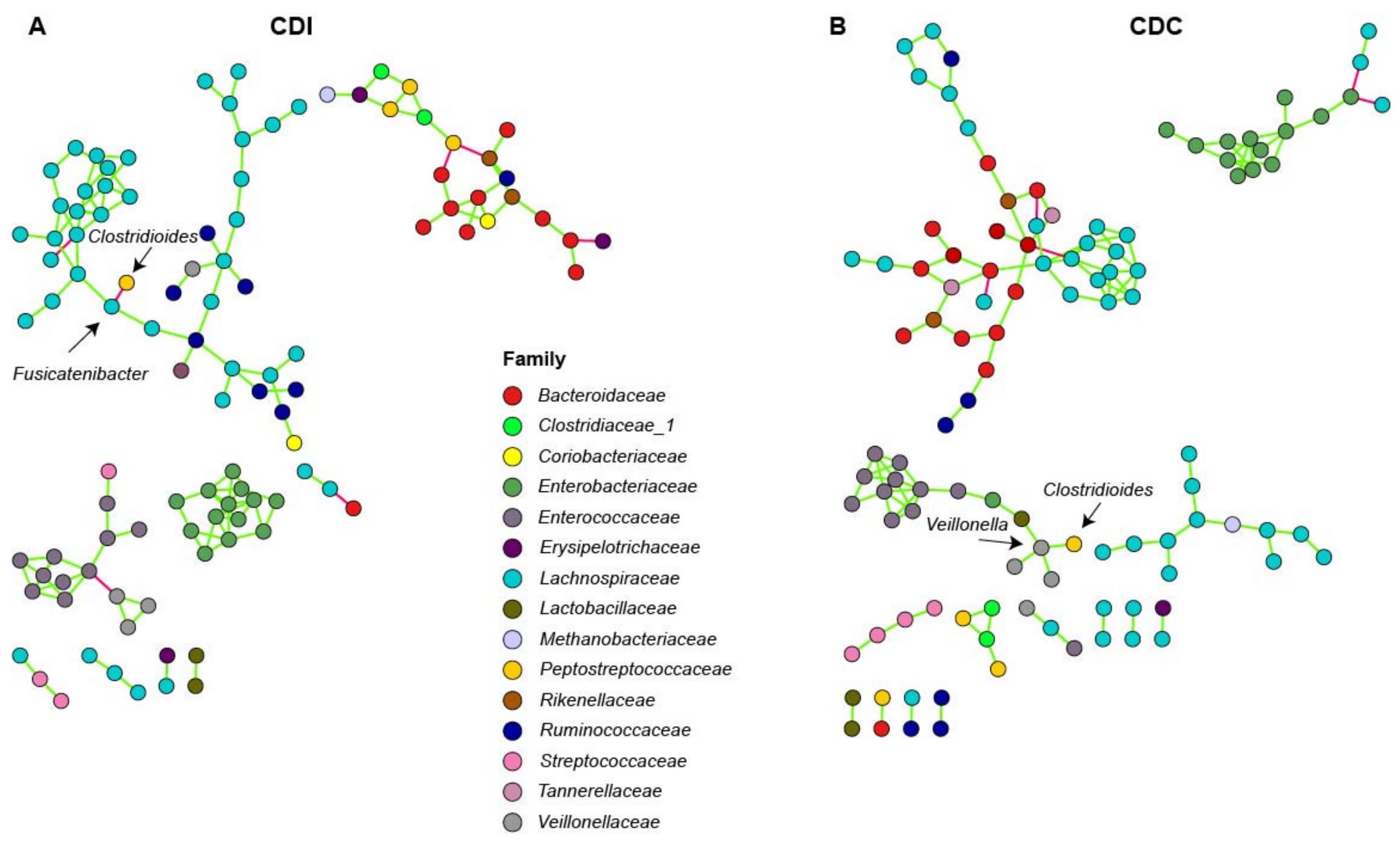 Microorganisms 08 00677 g004