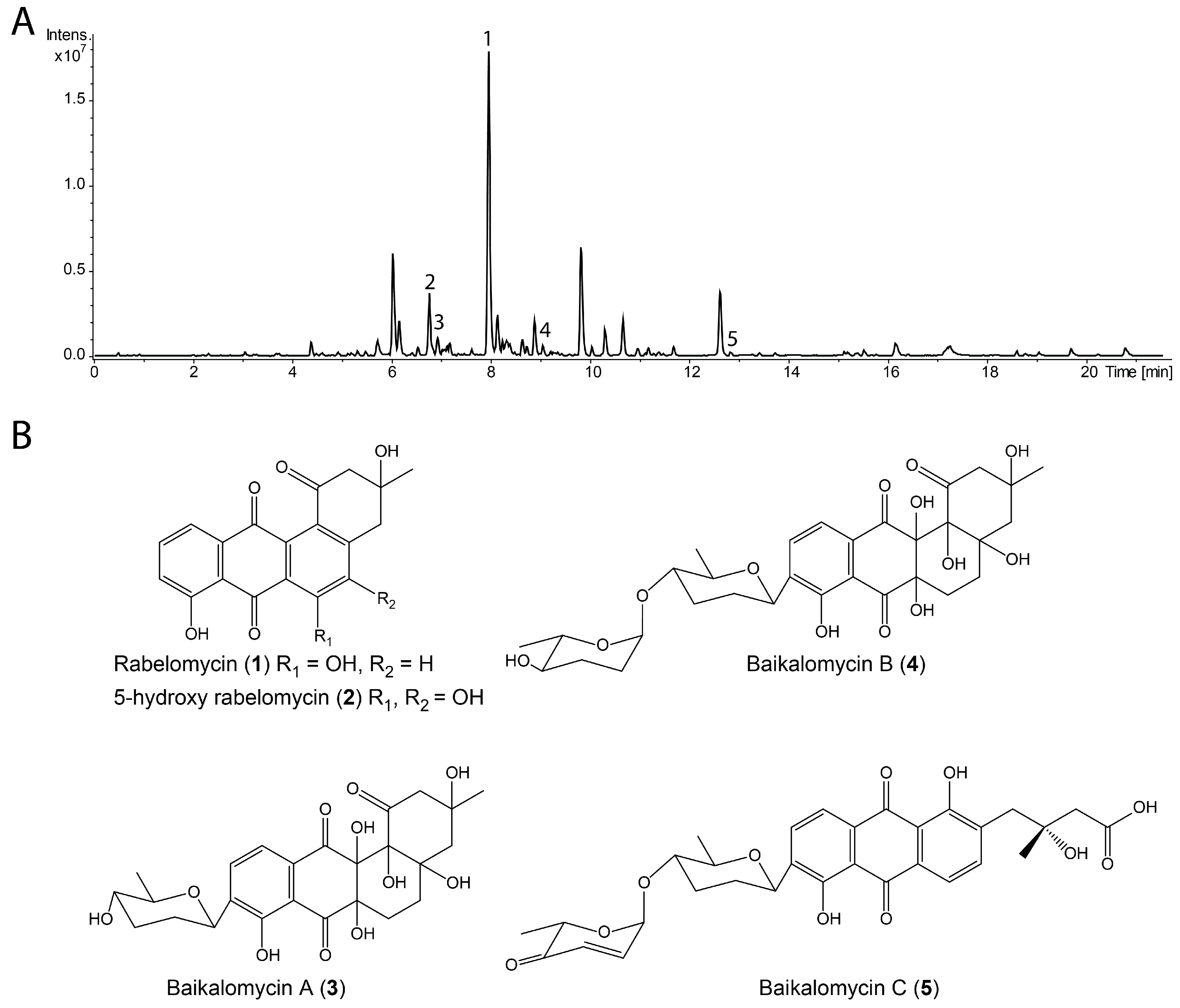 Microorganisms 08 00680 g003