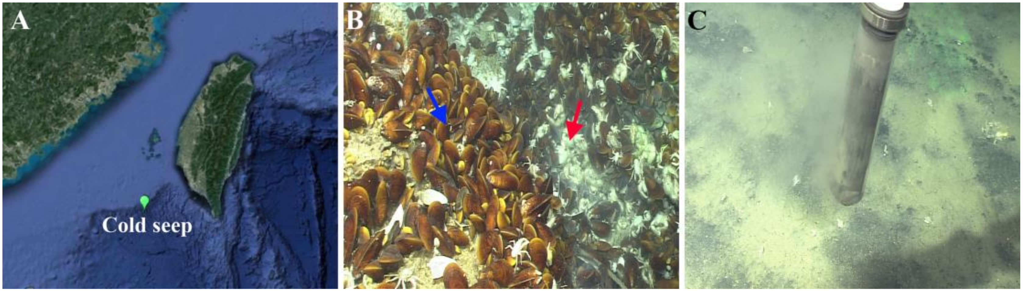 Microorganisms 08 00687 g001 Microorganisms 08 00687 g001